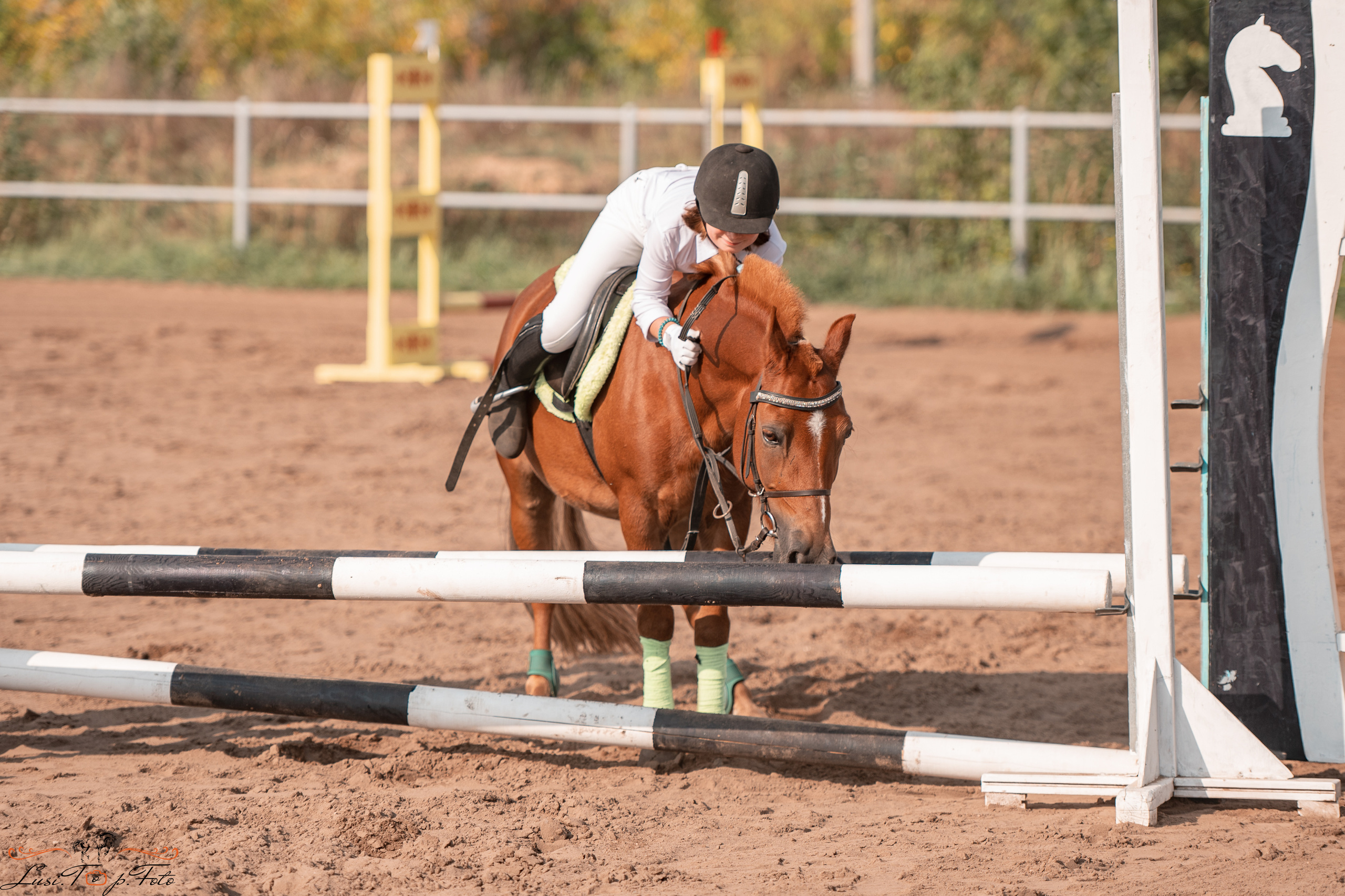 Турнир по выездке и конкуру памяти Н. Ю. Серовой (второй день — конкур). Конный и фотограф с животными в Твери Топталова Люся