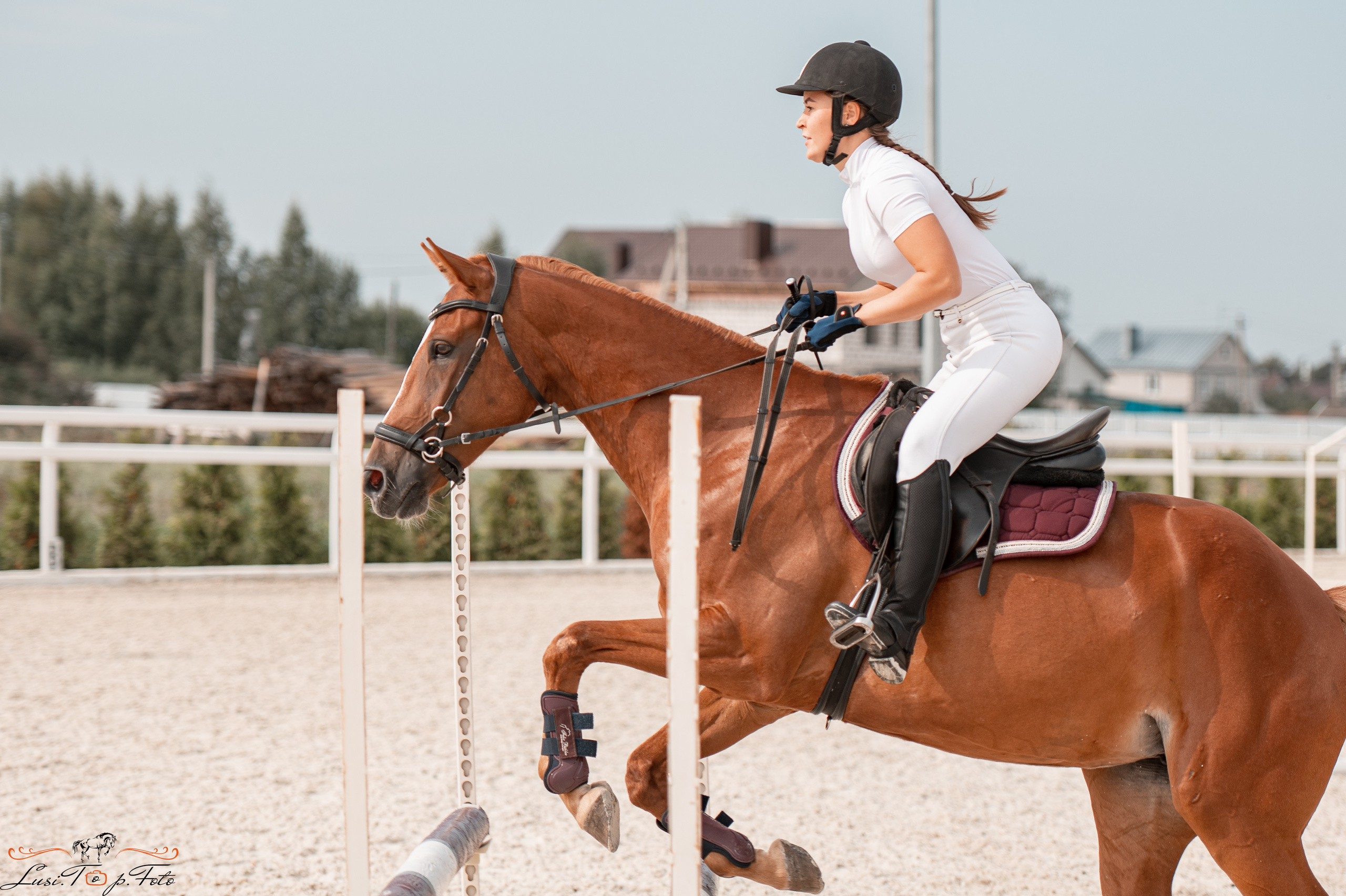 Открытая тренировка по конкуру в КК Equipark. Конный и фотограф с животными в Твери Топталова Люся