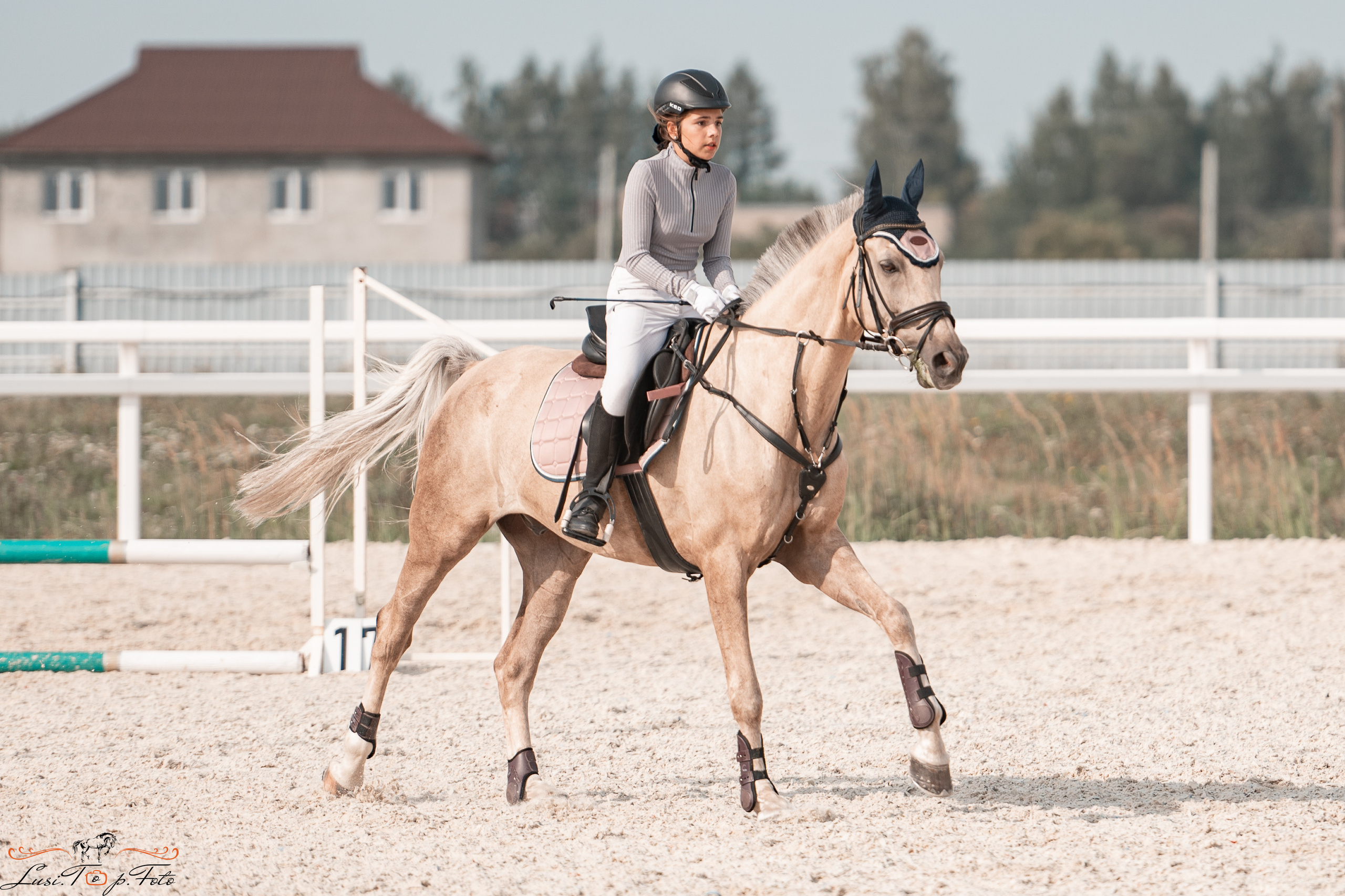 Открытая тренировка по конкуру в КК Equipark. Конный и фотограф с животными в Твери Топталова Люся