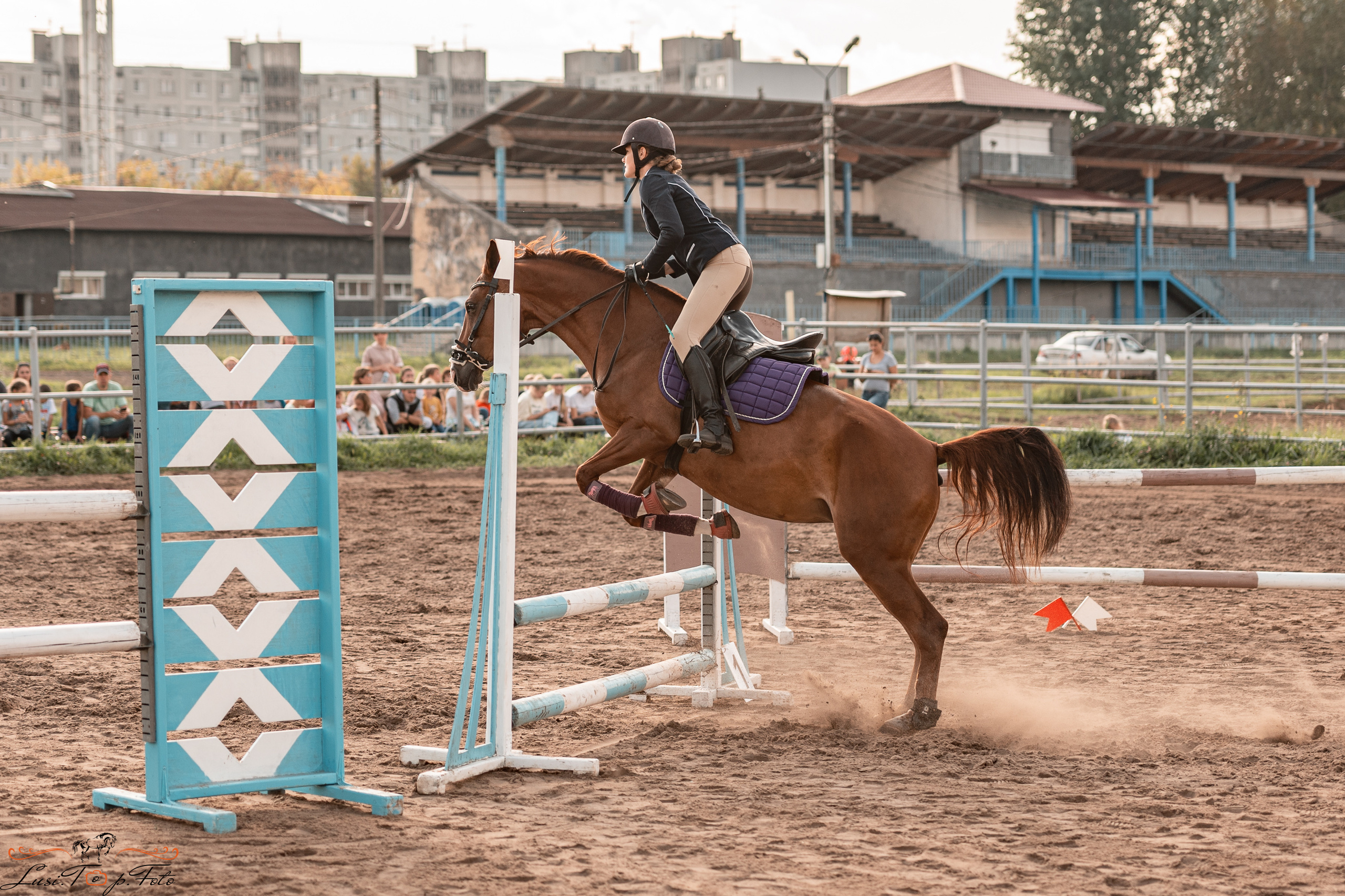 Турнир по выездке и конкуру памяти Н. Ю. Серовой (второй день — конкур). Конный и фотограф с животными в Твери Топталова Люся