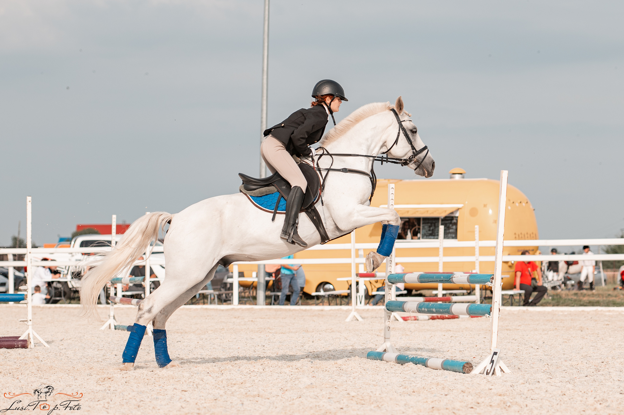 Открытая тренировка по конкуру в КК Equipark. Конный и фотограф с животными в Твери Топталова Люся