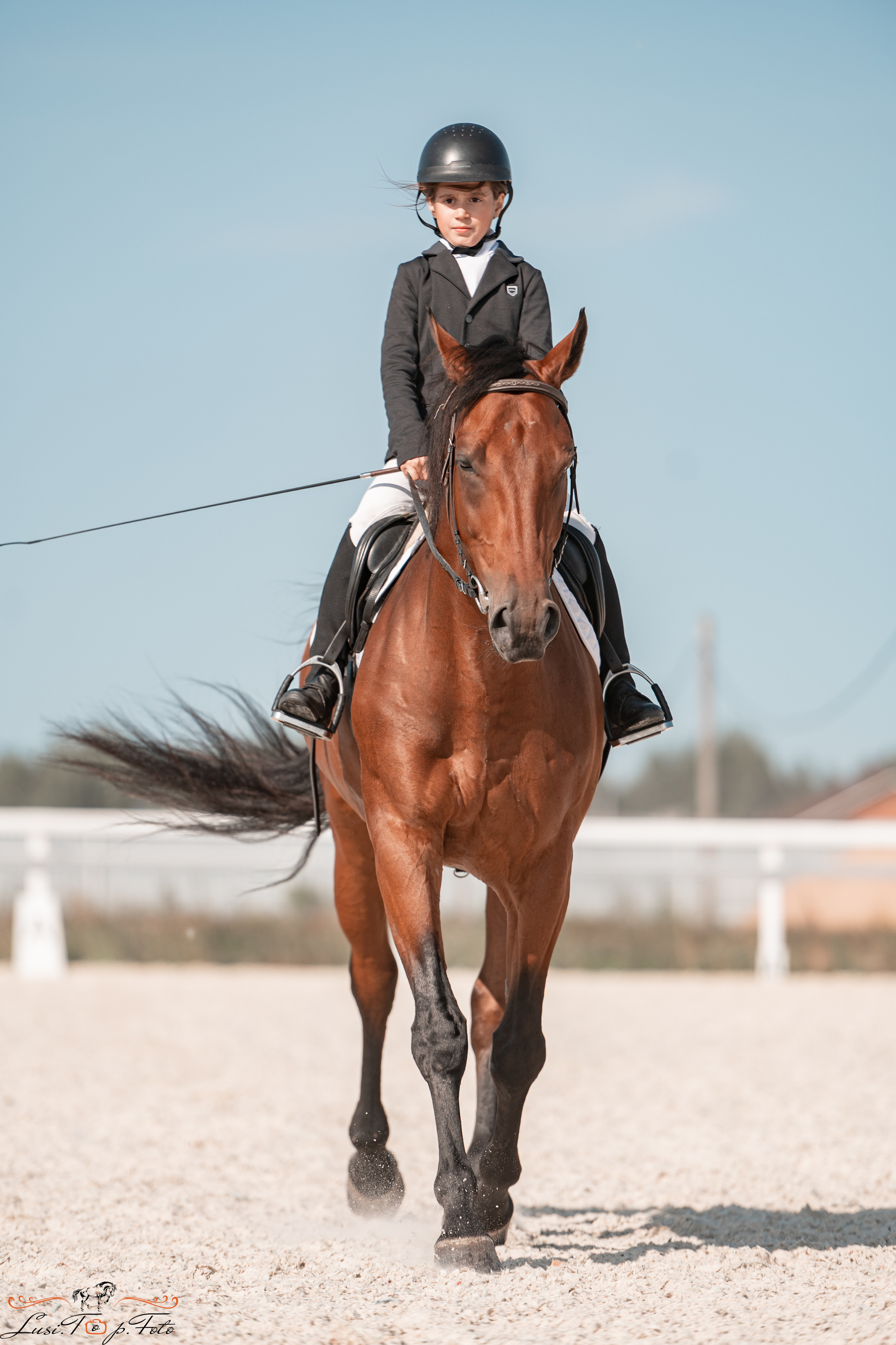 Открытая тренировка по выездке в КК Equipark. Конный и фотограф с животными в Твери Топталова Люся