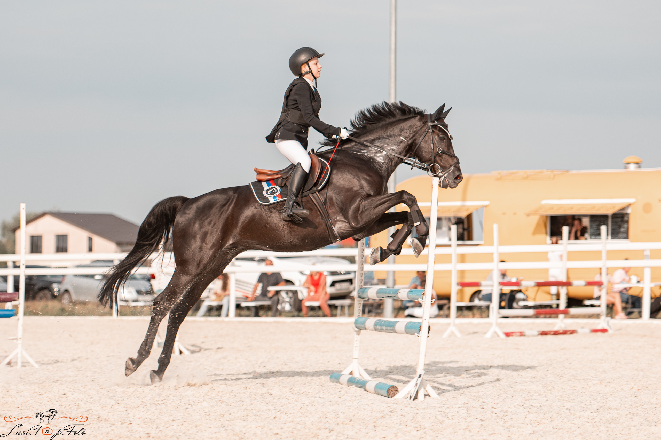 Открытая тренировка по конкуру в КК Equipark. Конный и фотограф с животными в Твери Топталова Люся