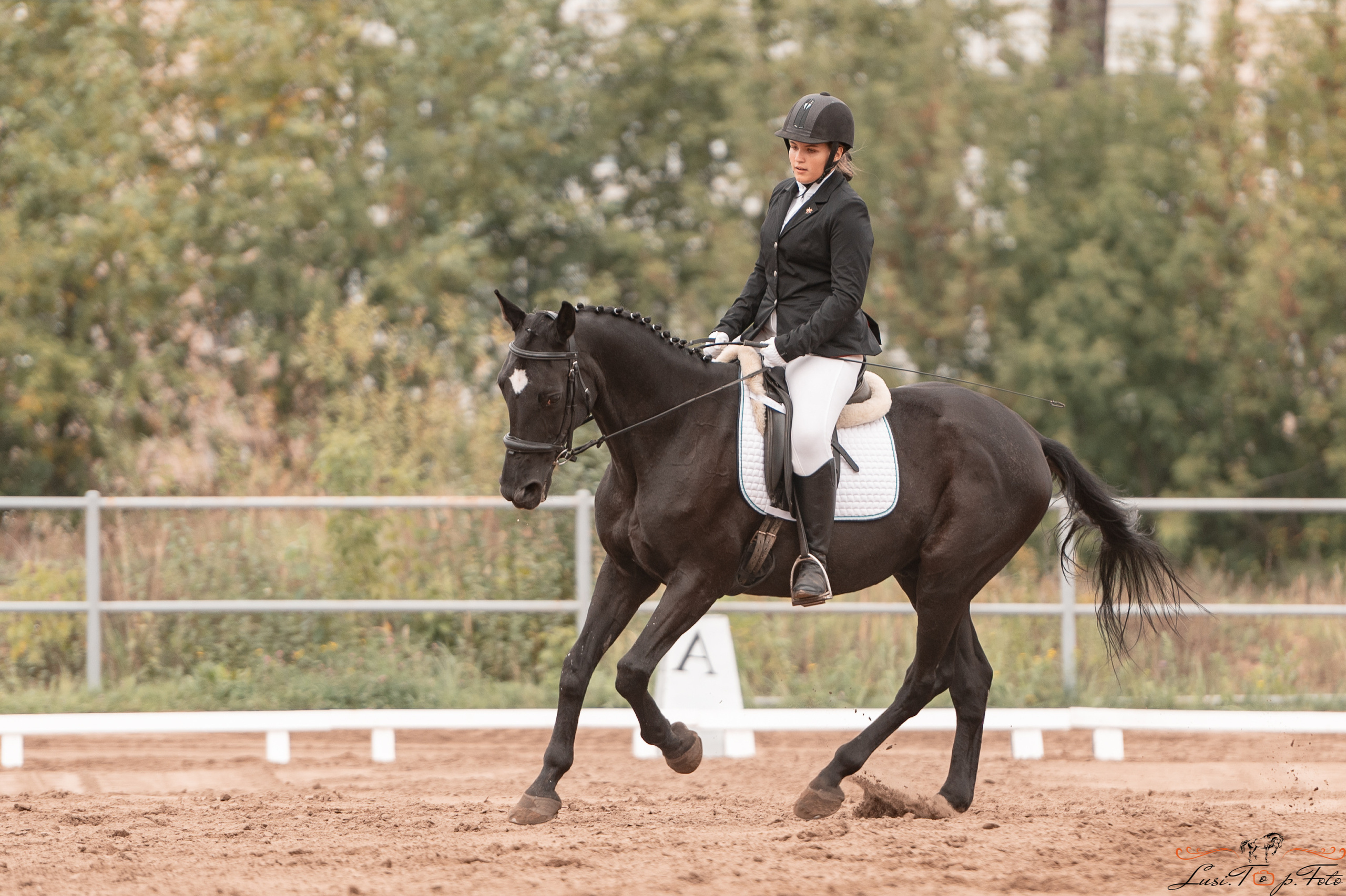 Турнир по выездке и конкуру памяти Н. Ю. Серовой (день 1 — выездка). Конный и фотограф с животными в Твери Топталова Люся