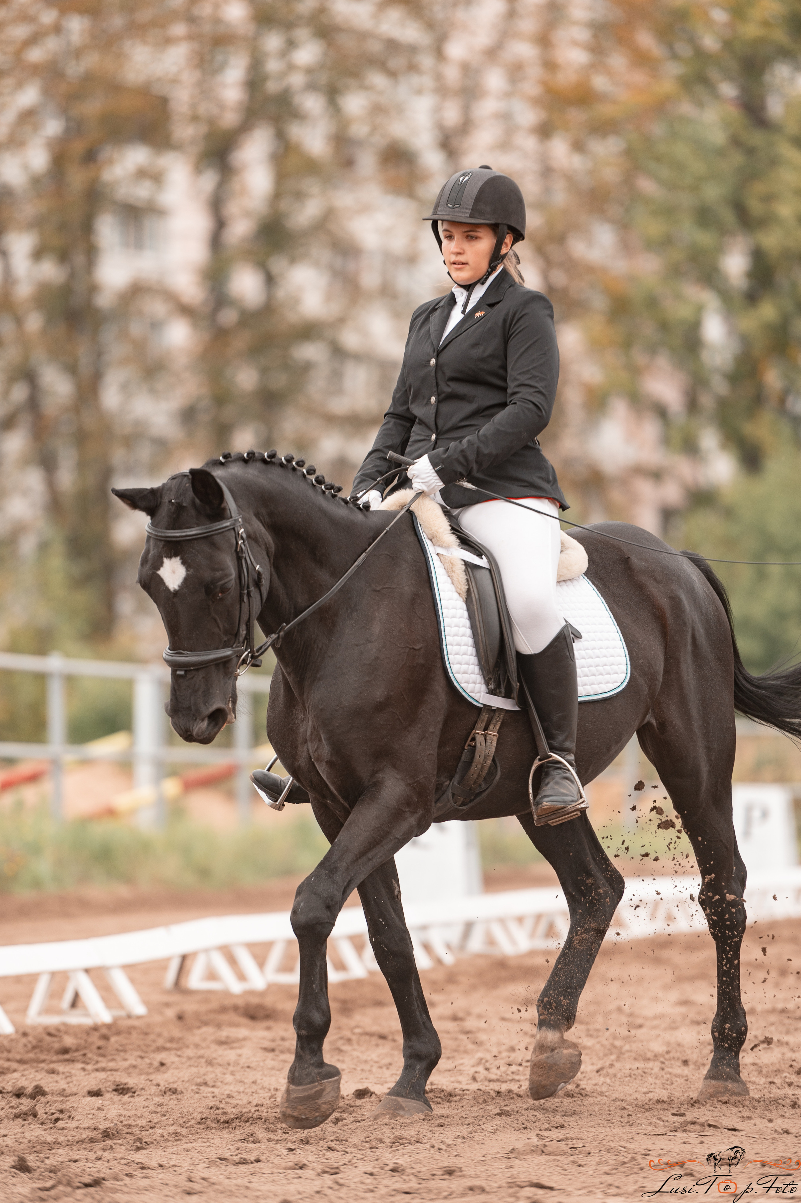 Турнир по выездке и конкуру памяти Н. Ю. Серовой (день 1 — выездка). Конный и фотограф с животными в Твери Топталова Люся