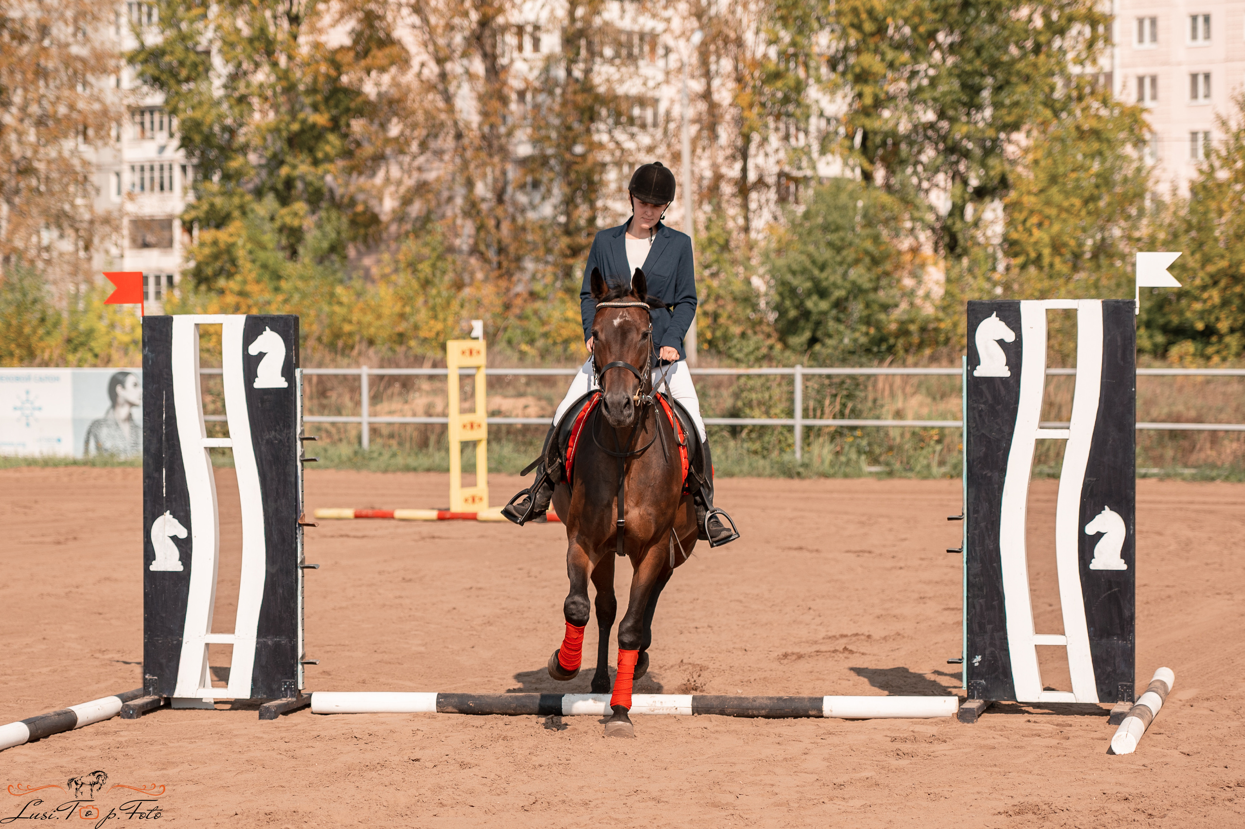 Турнир по выездке и конкуру памяти Н. Ю. Серовой (второй день — конкур). Конный и фотограф с животными в Твери Топталова Люся