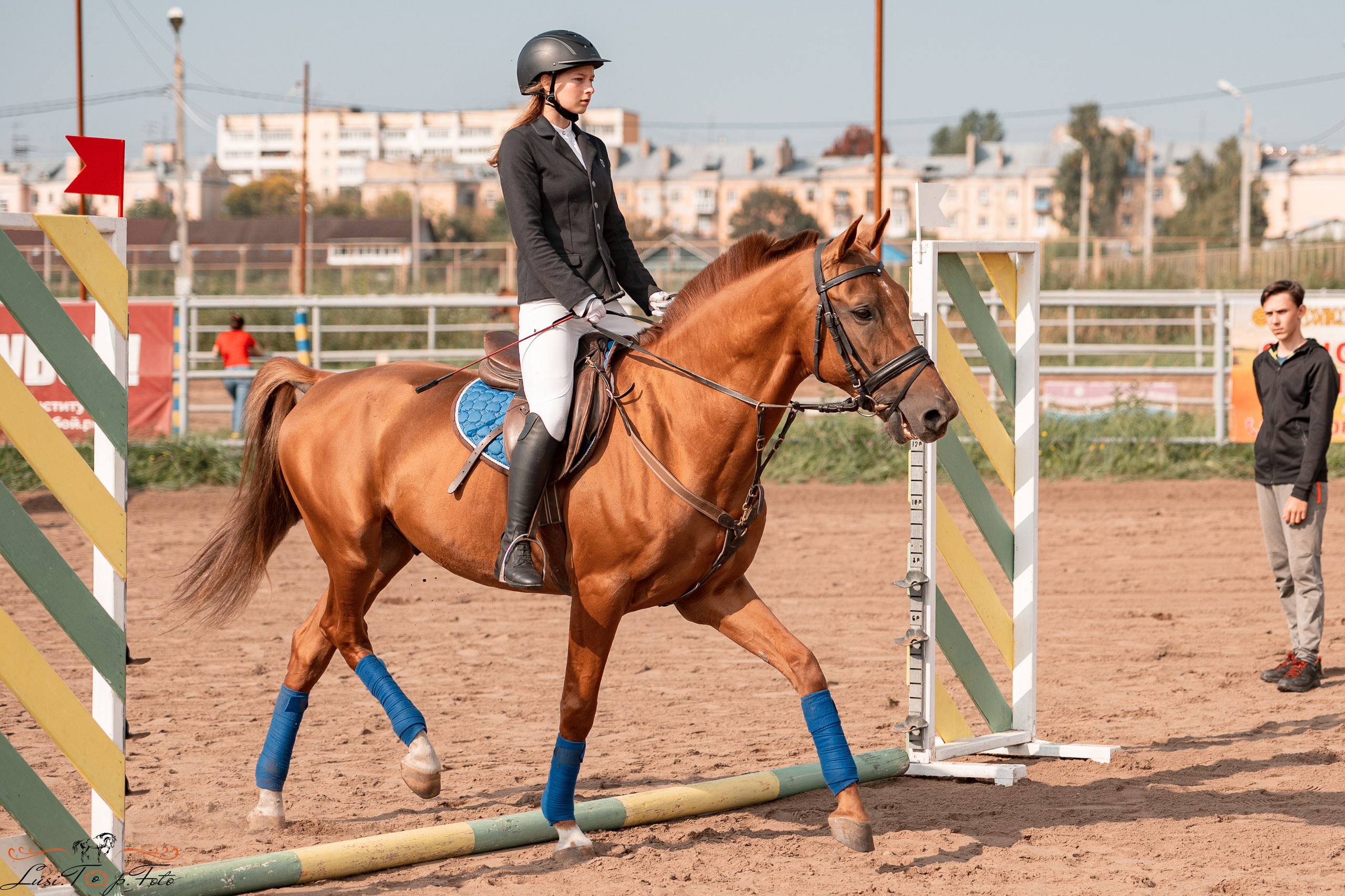 Турнир по выездке и конкуру памяти Н. Ю. Серовой (второй день — конкур). Конный и фотограф с животными в Твери Топталова Люся