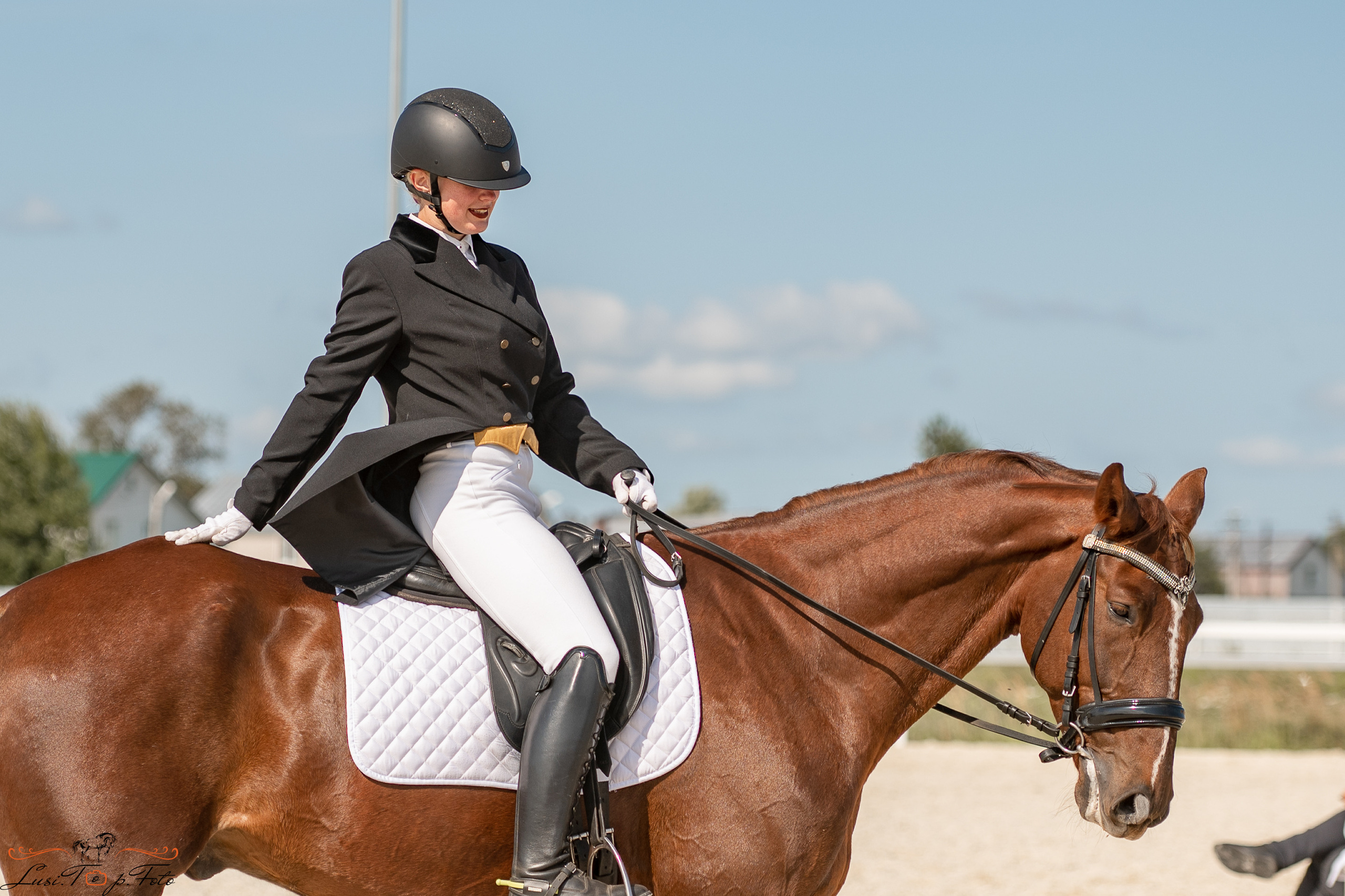Открытая тренировка по выездке в КК Equipark. Конный и фотограф с животными в Твери Топталова Люся