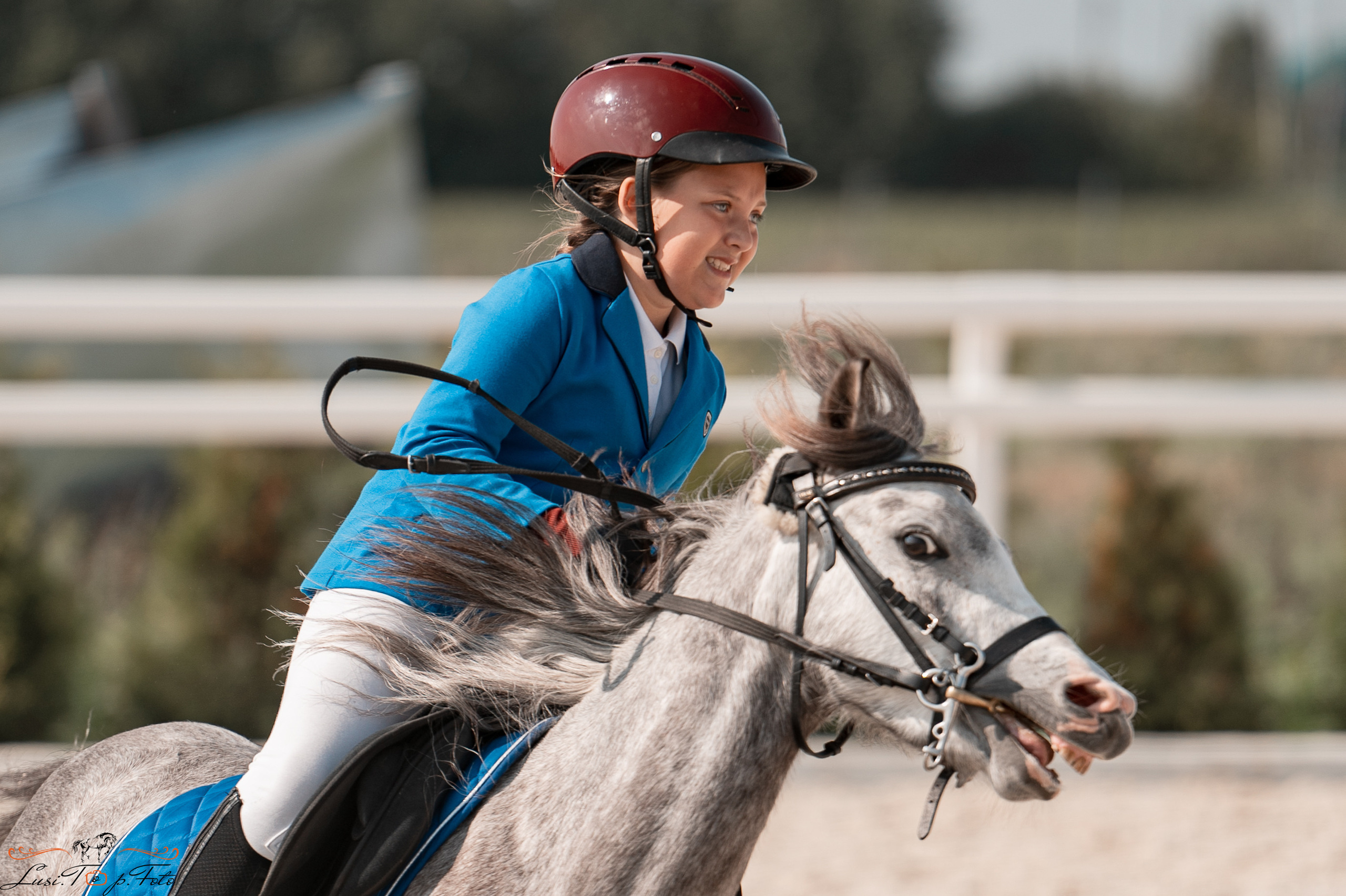 Открытая тренировка по конкуру в КК Equipark. Конный и фотограф с животными в Твери Топталова Люся