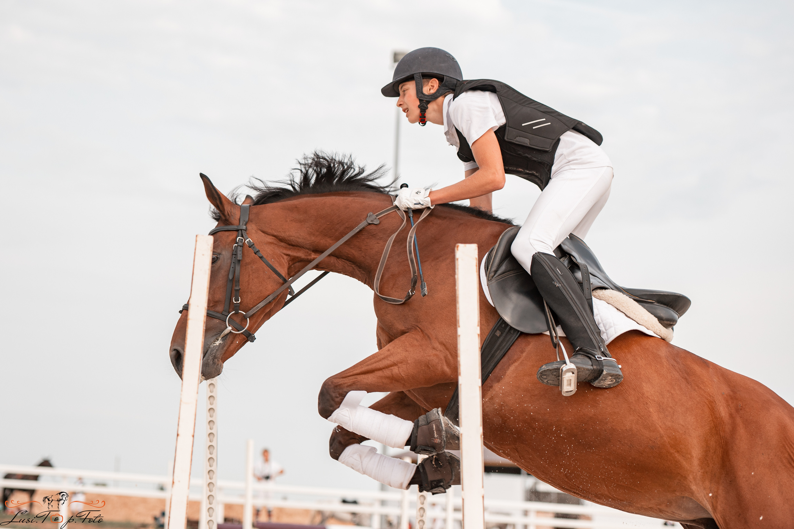 Открытая тренировка по конкуру в КК Equipark. Конный и фотограф с животными в Твери Топталова Люся