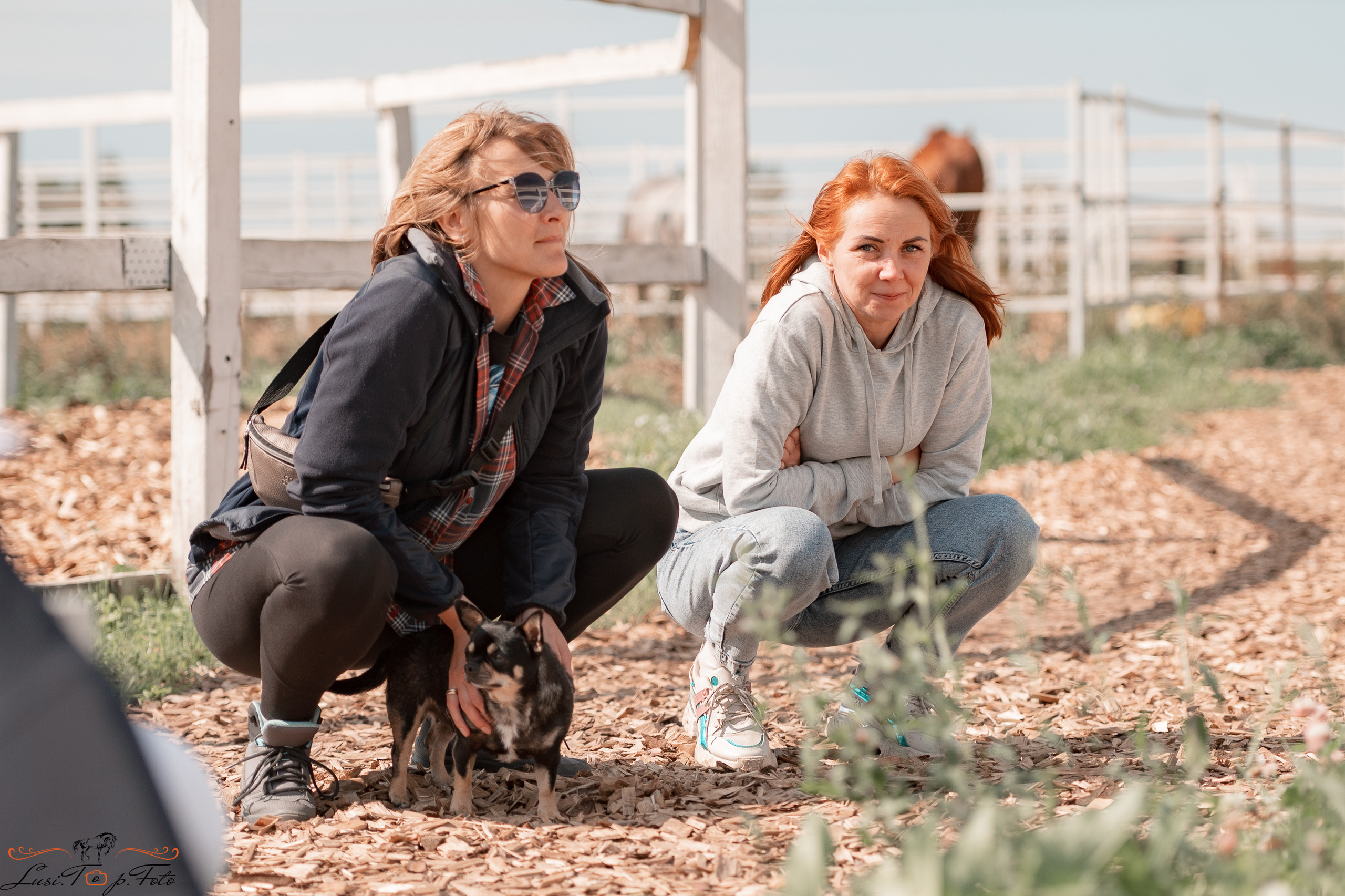 Открытая тренировка по выездке в КК Equipark. Конный и фотограф с животными в Твери Топталова Люся