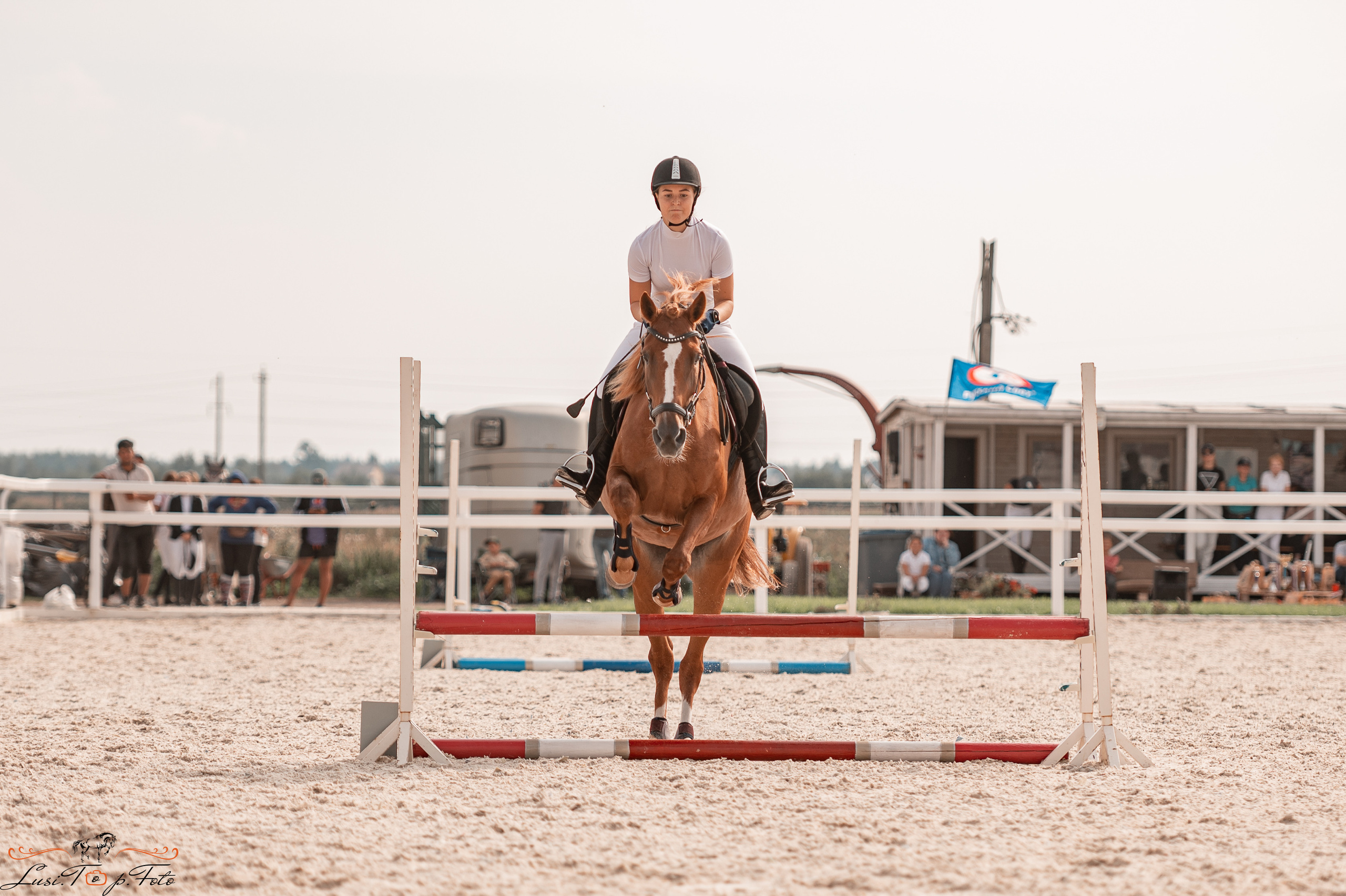 Открытая тренировка по конкуру в КК Equipark. Конный и фотограф с животными в Твери Топталова Люся
