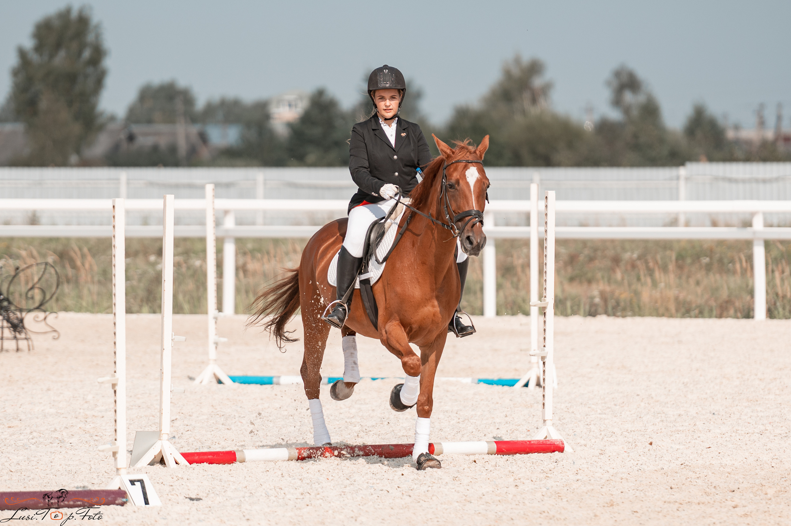 Открытая тренировка по конкуру в КК Equipark. Конный и фотограф с животными в Твери Топталова Люся