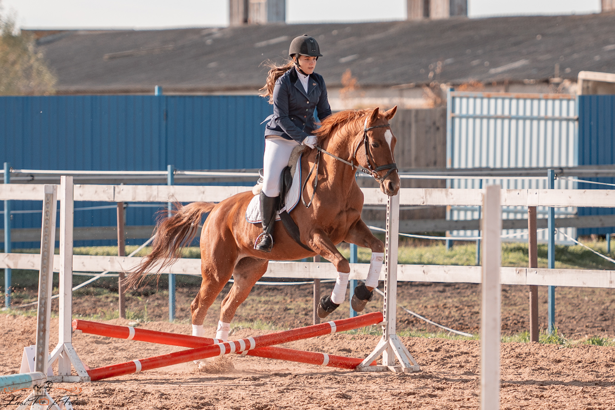 Открытая тренировка КК «Резвая». Конный и фотограф с животными в Твери Топталова Люся