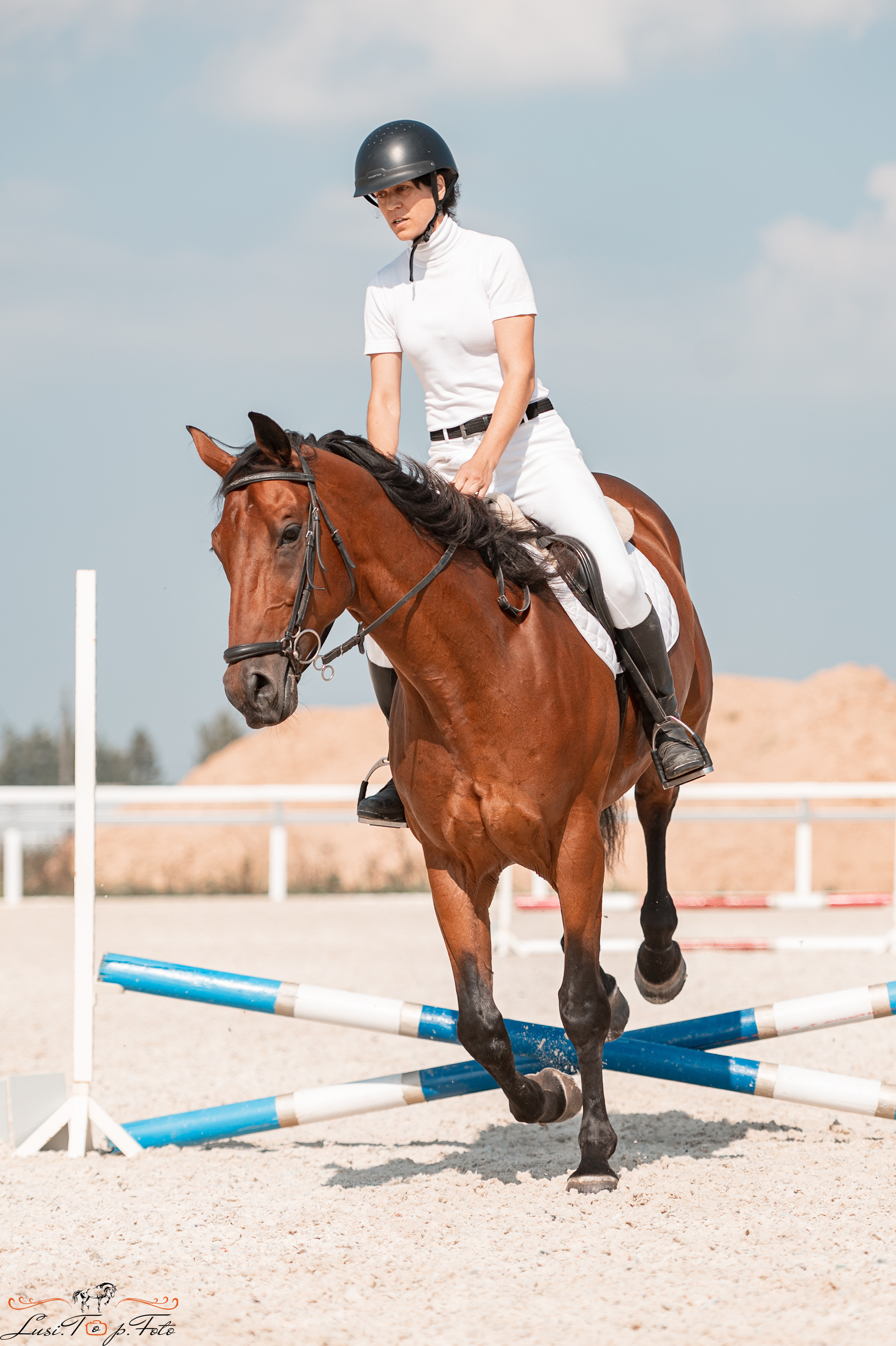 Открытая тренировка по конкуру в КК Equipark. Конный и фотограф с животными в Твери Топталова Люся