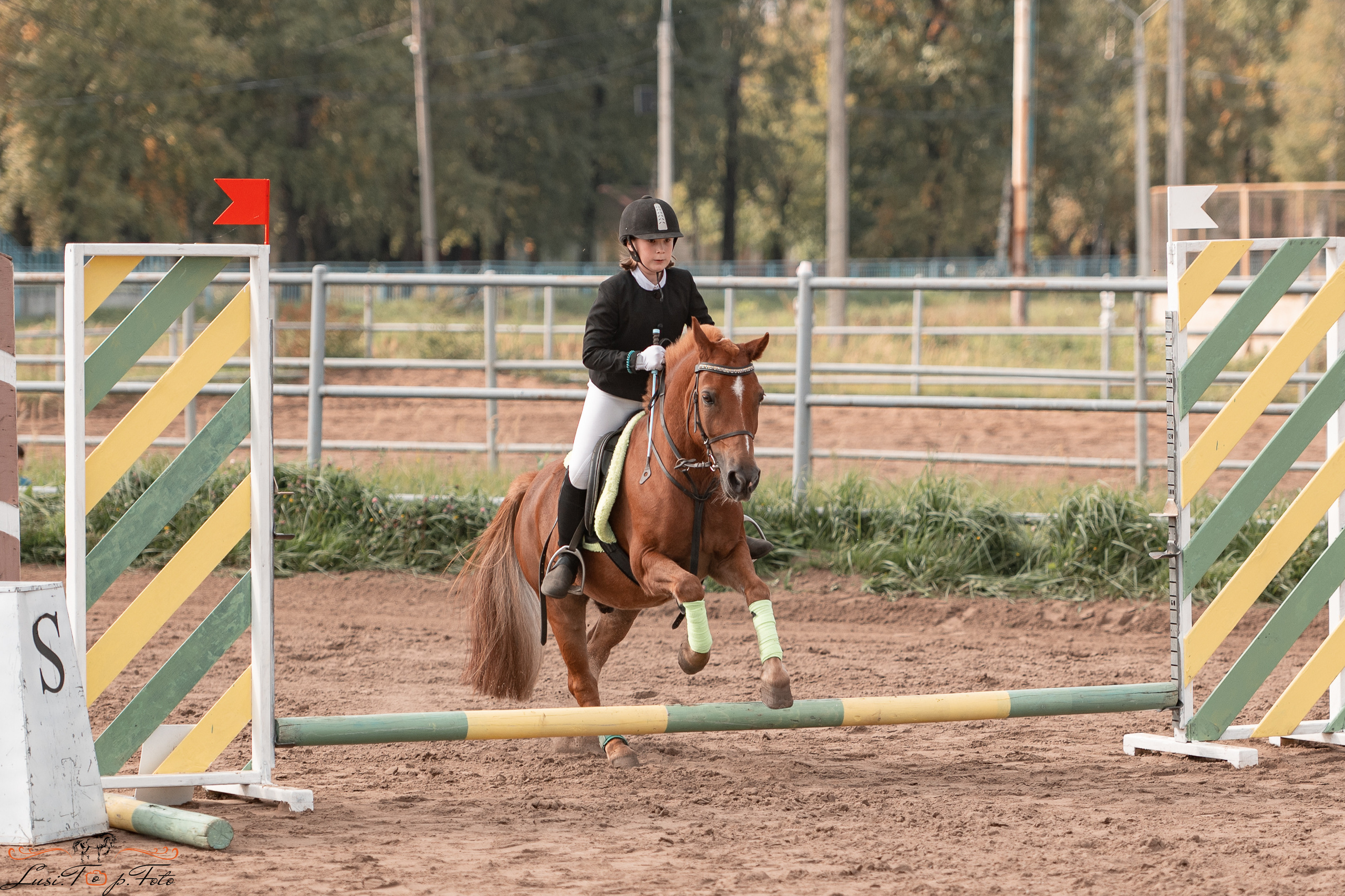 Турнир по выездке и конкуру памяти Н. Ю. Серовой (второй день — конкур). Конный и фотограф с животными в Твери Топталова Люся