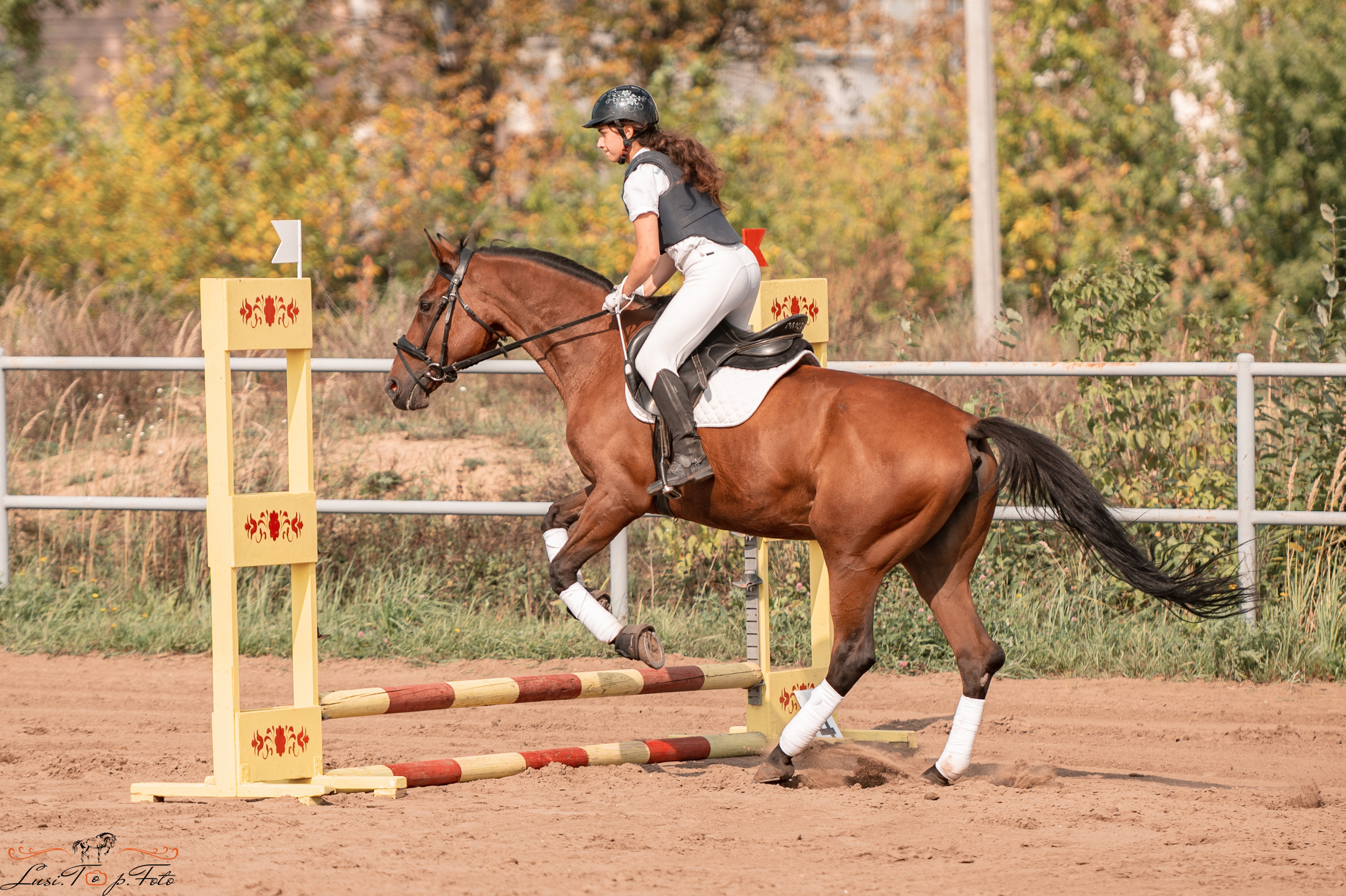Турнир по выездке и конкуру памяти Н. Ю. Серовой (второй день — конкур). Конный и фотограф с животными в Твери Топталова Люся