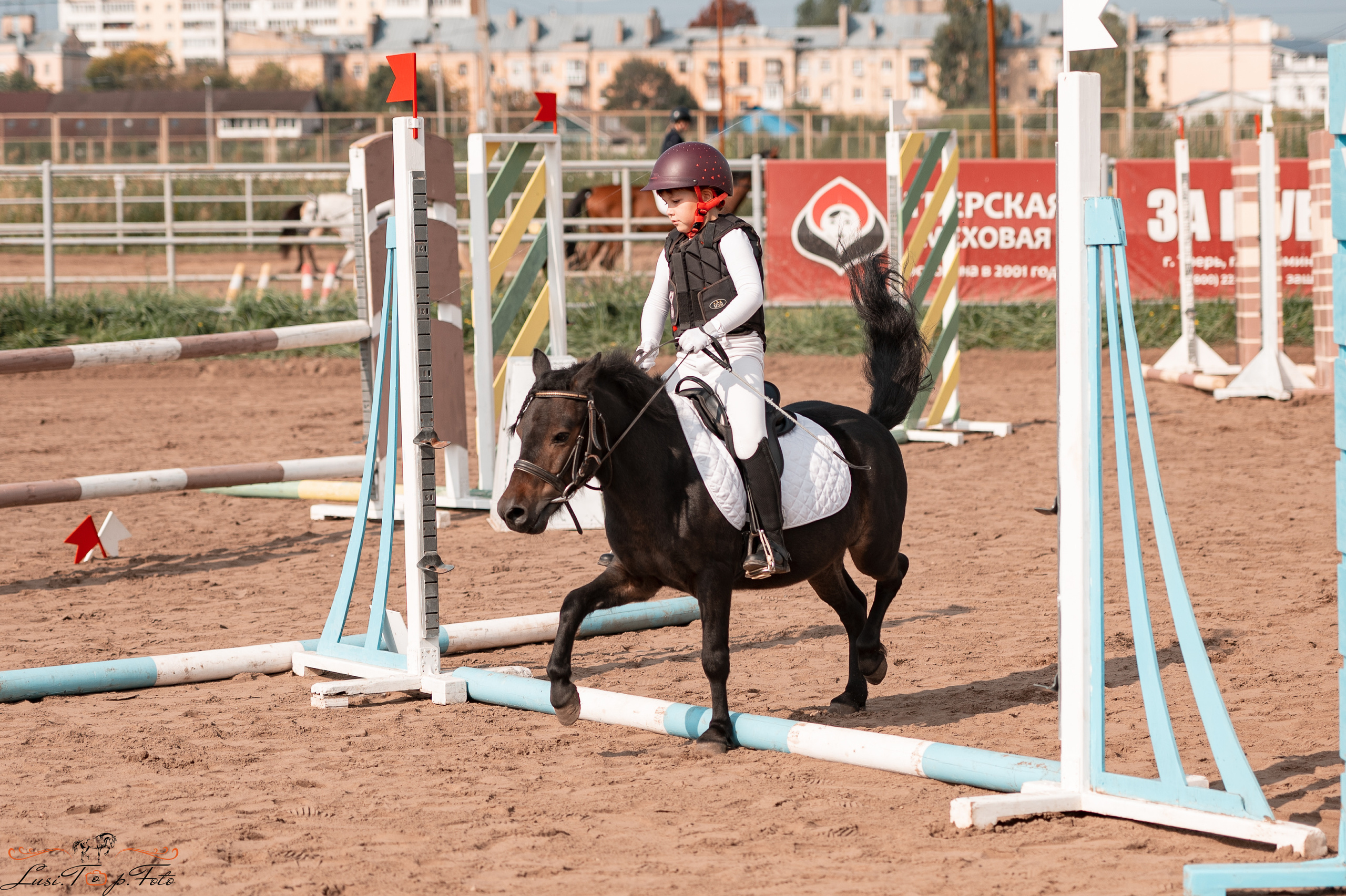 Турнир по выездке и конкуру памяти Н. Ю. Серовой (второй день — конкур). Конный и фотограф с животными в Твери Топталова Люся
