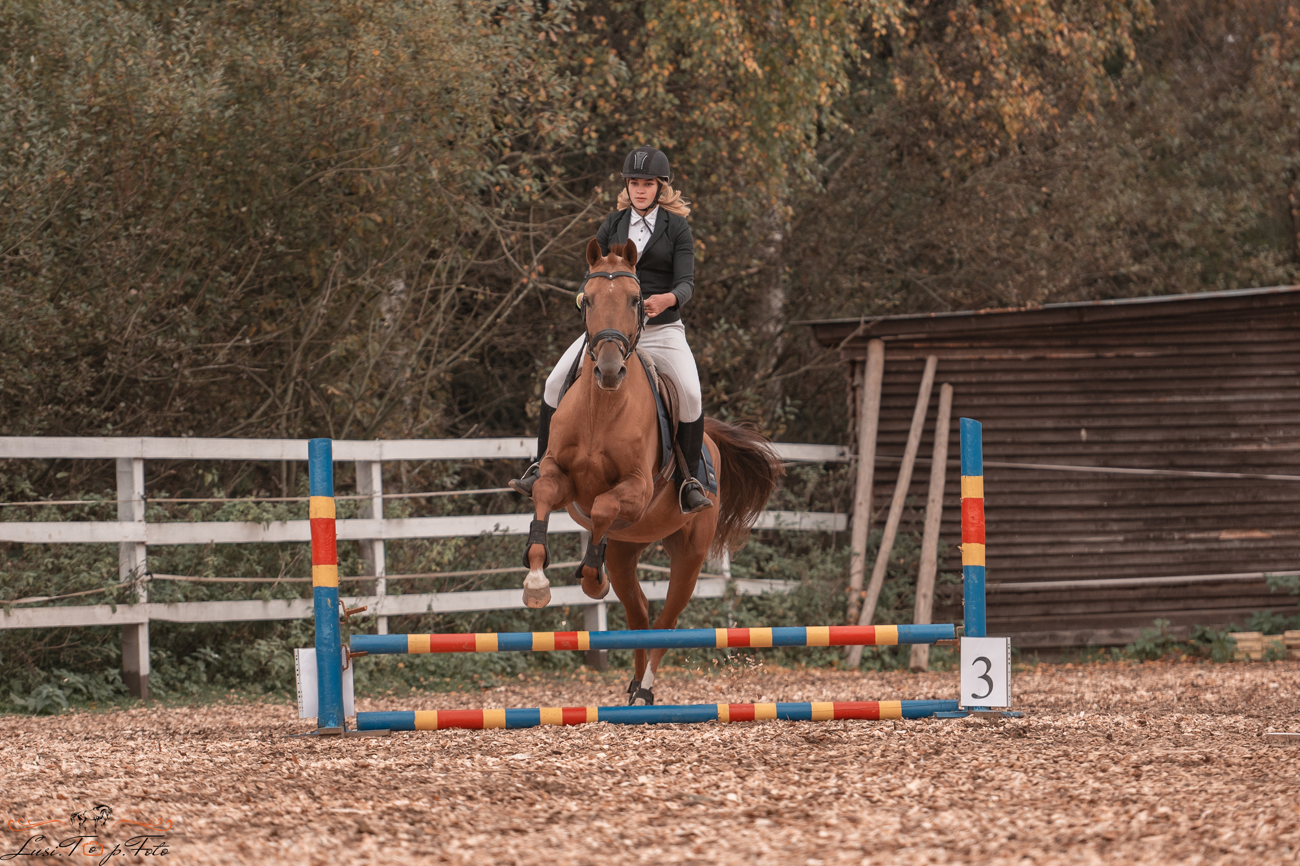 КК Траверсале Конкур. Конный и фотограф с животными в Твери Топталова Люся