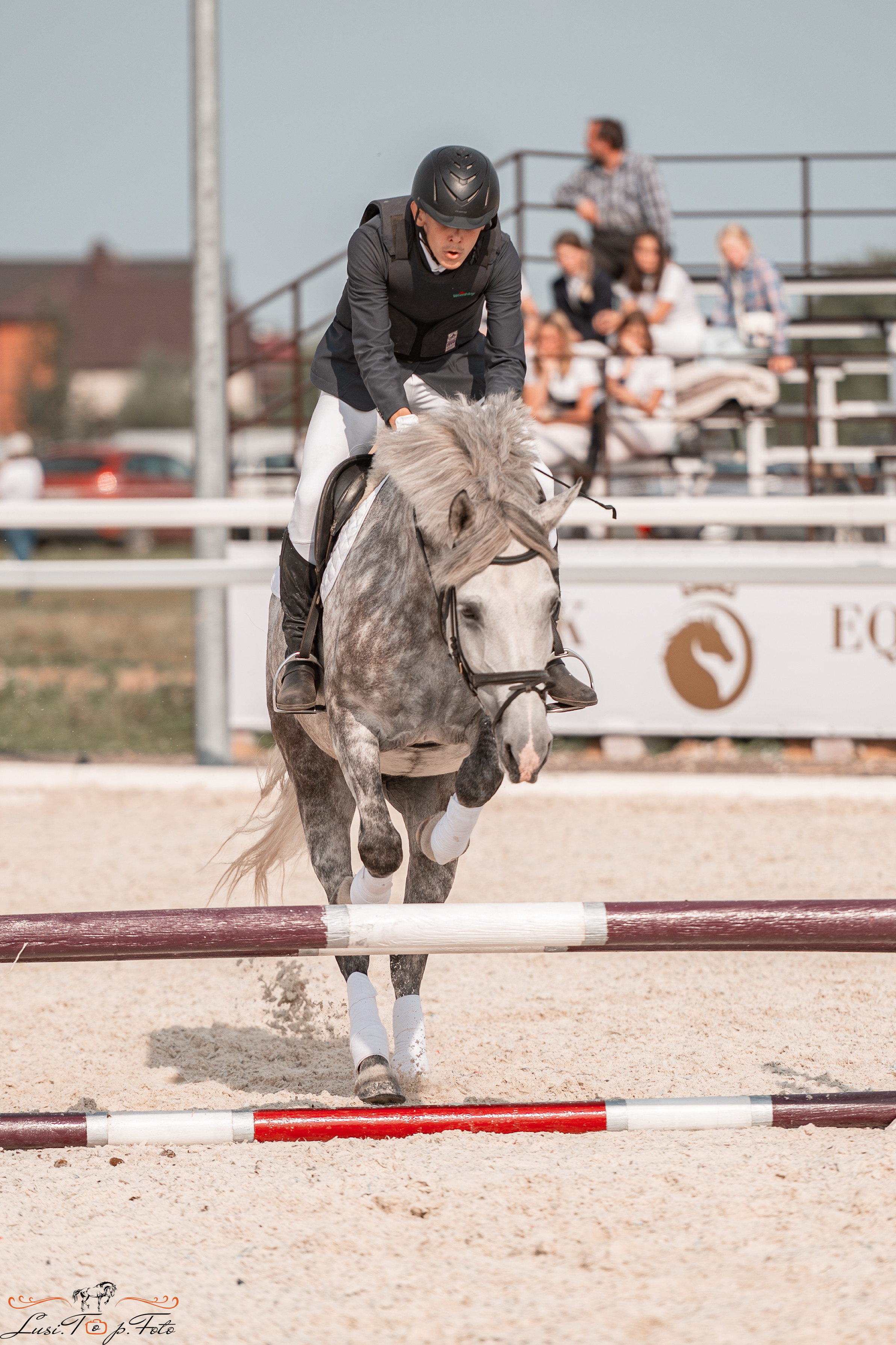 Открытая тренировка по конкуру в КК Equipark. Конный и фотограф с животными в Твери Топталова Люся