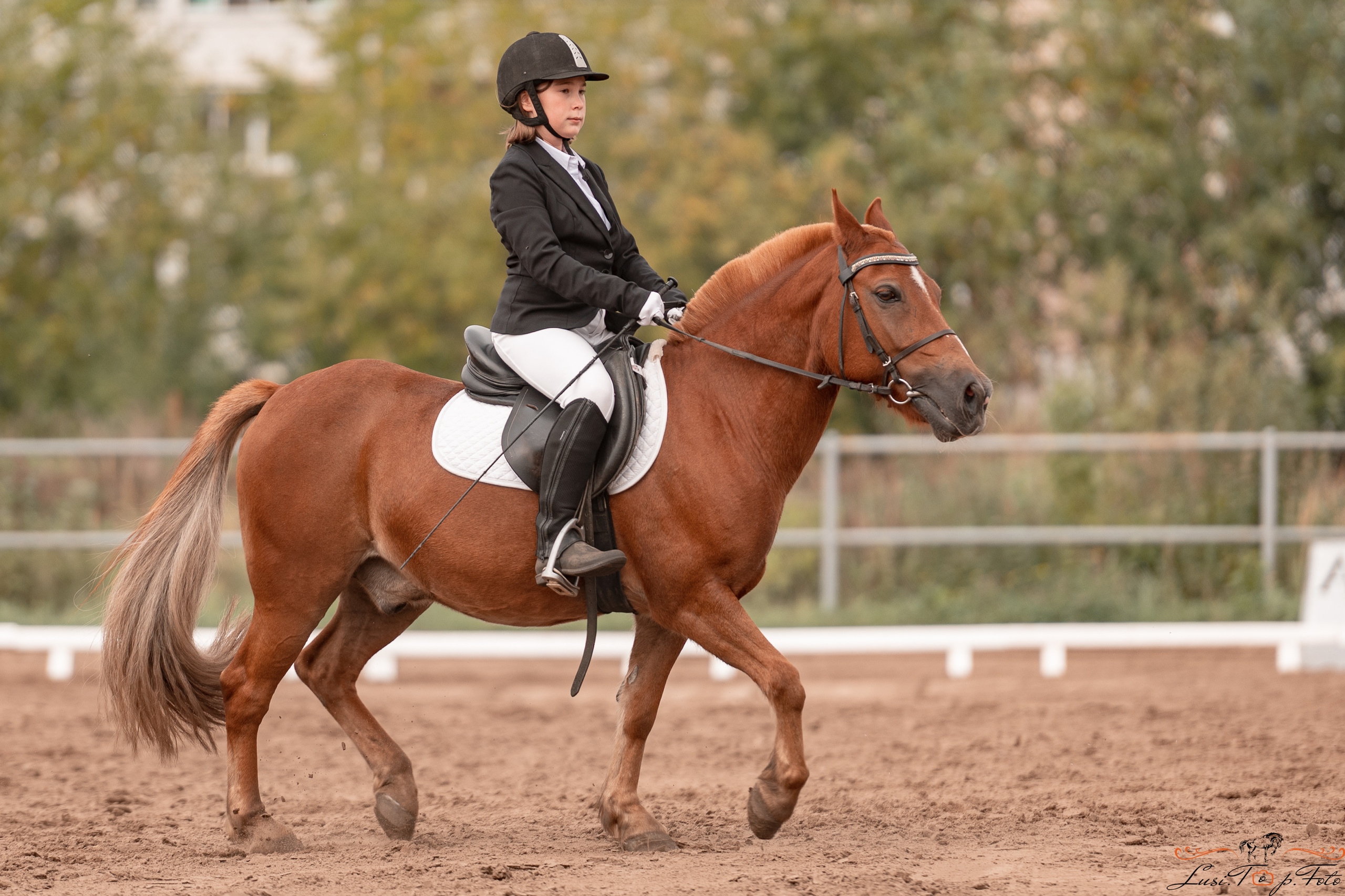 Турнир по выездке и конкуру памяти Н. Ю. Серовой (день 1 — выездка). Конный и фотограф с животными в Твери Топталова Люся