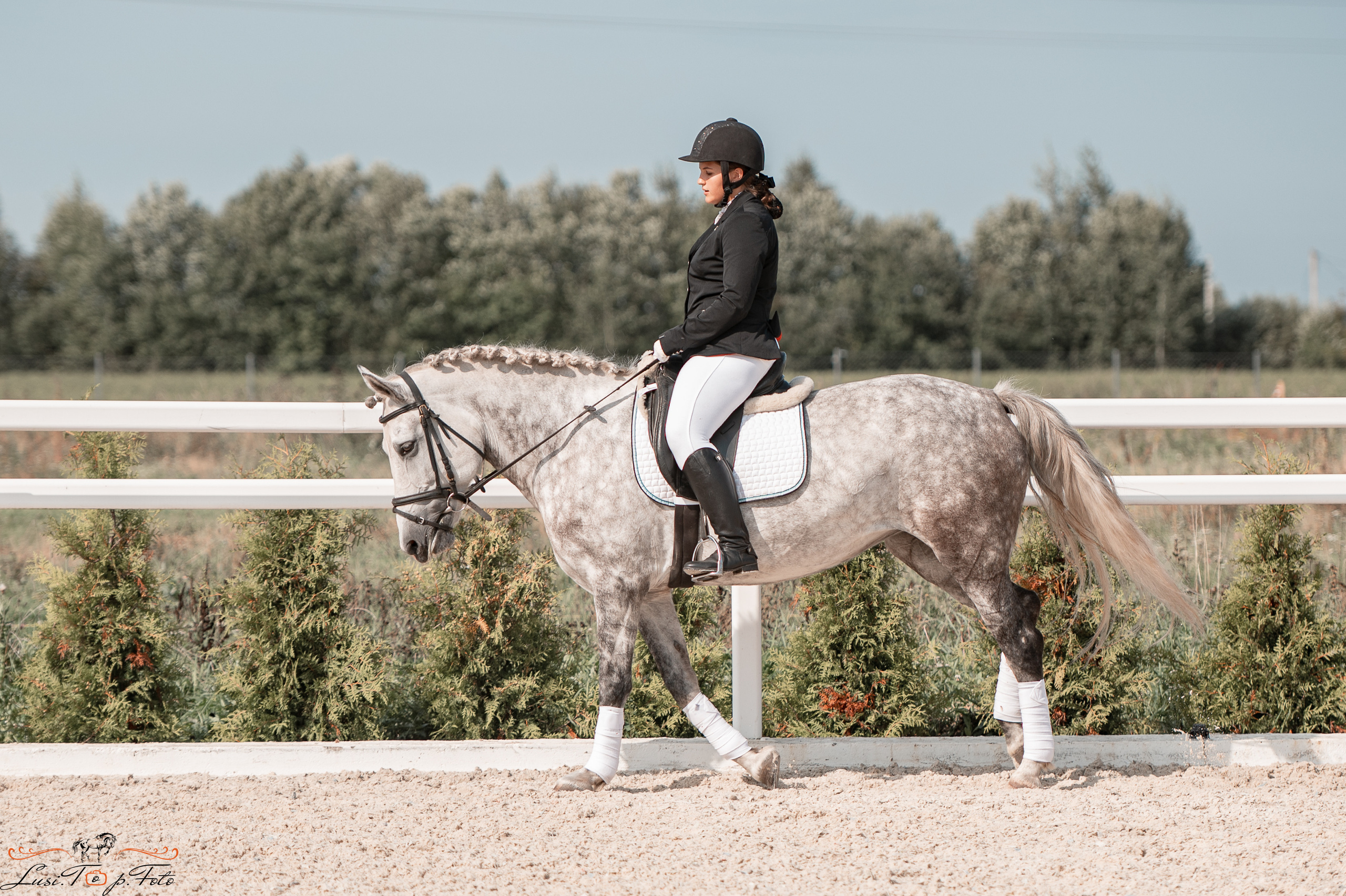 Открытая тренировка по выездке в КК Equipark. Конный и фотограф с животными в Твери Топталова Люся
