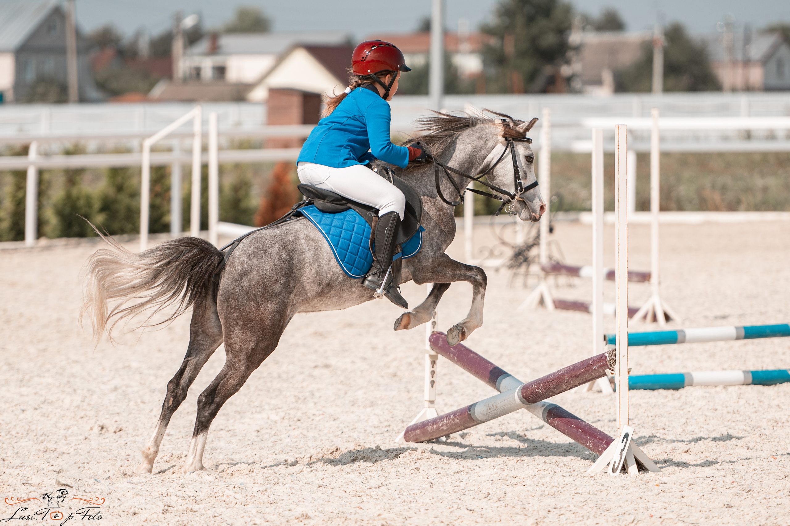Открытая тренировка по конкуру в КК Equipark. Конный и фотограф с животными в Твери Топталова Люся