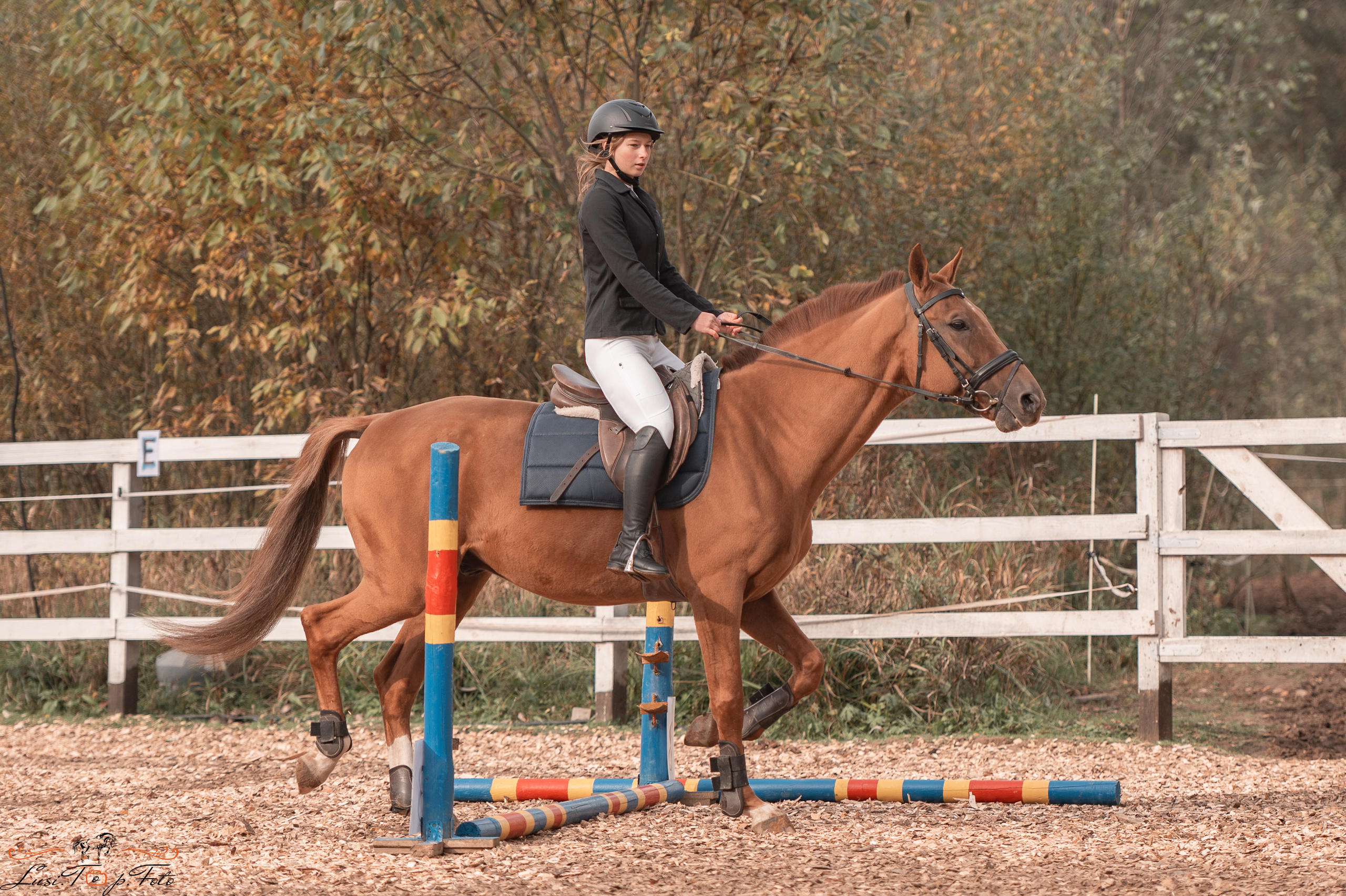 КК Траверсале Конкур. Конный и фотограф с животными в Твери Топталова Люся