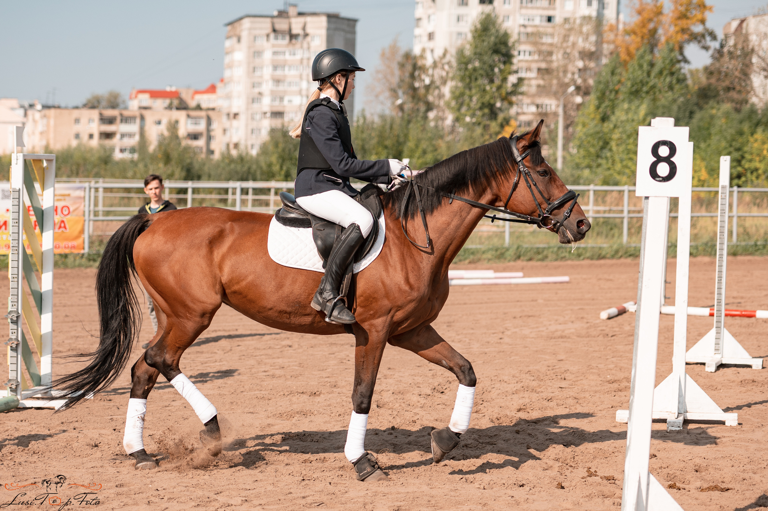 Турнир по выездке и конкуру памяти Н. Ю. Серовой (второй день — конкур). Конный и фотограф с животными в Твери Топталова Люся