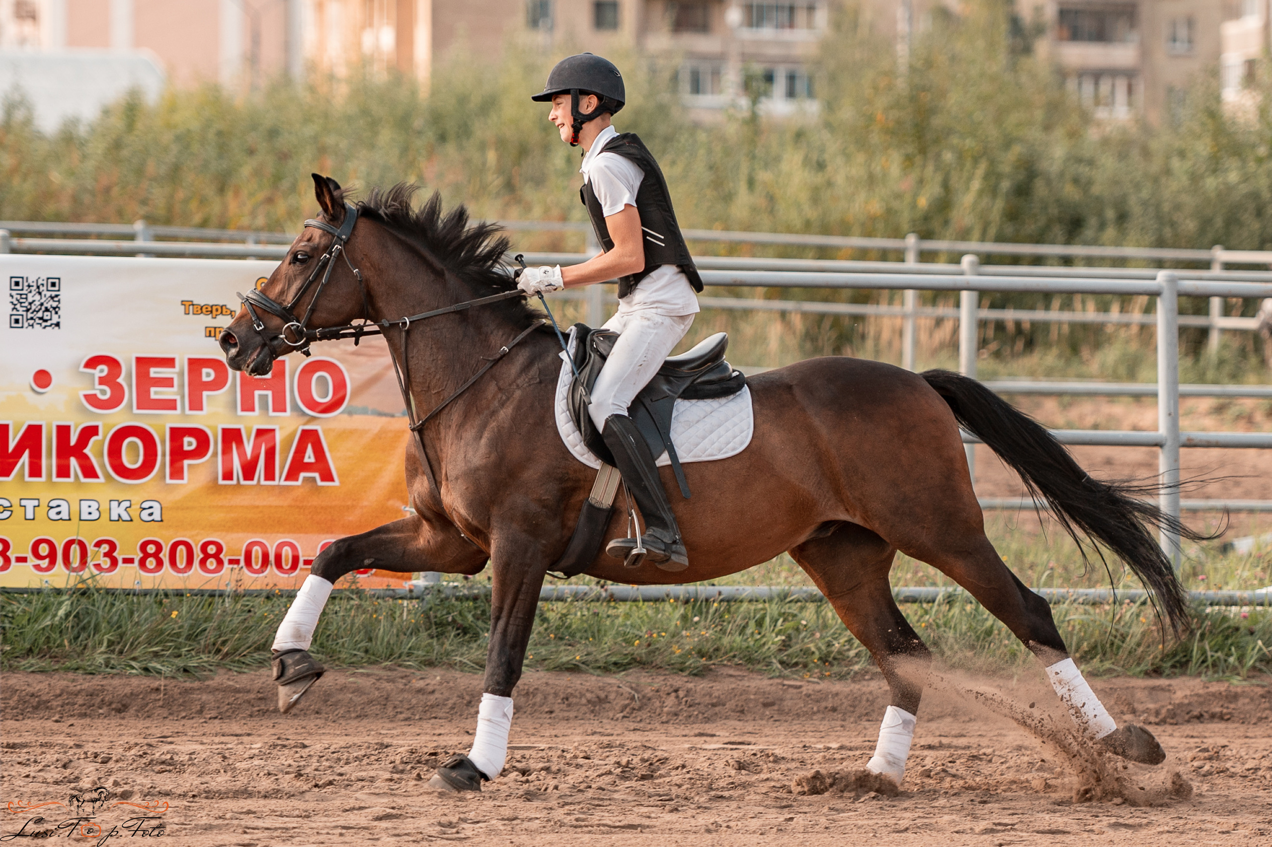 Турнир по выездке и конкуру памяти Н. Ю. Серовой (второй день — конкур). Конный и фотограф с животными в Твери Топталова Люся