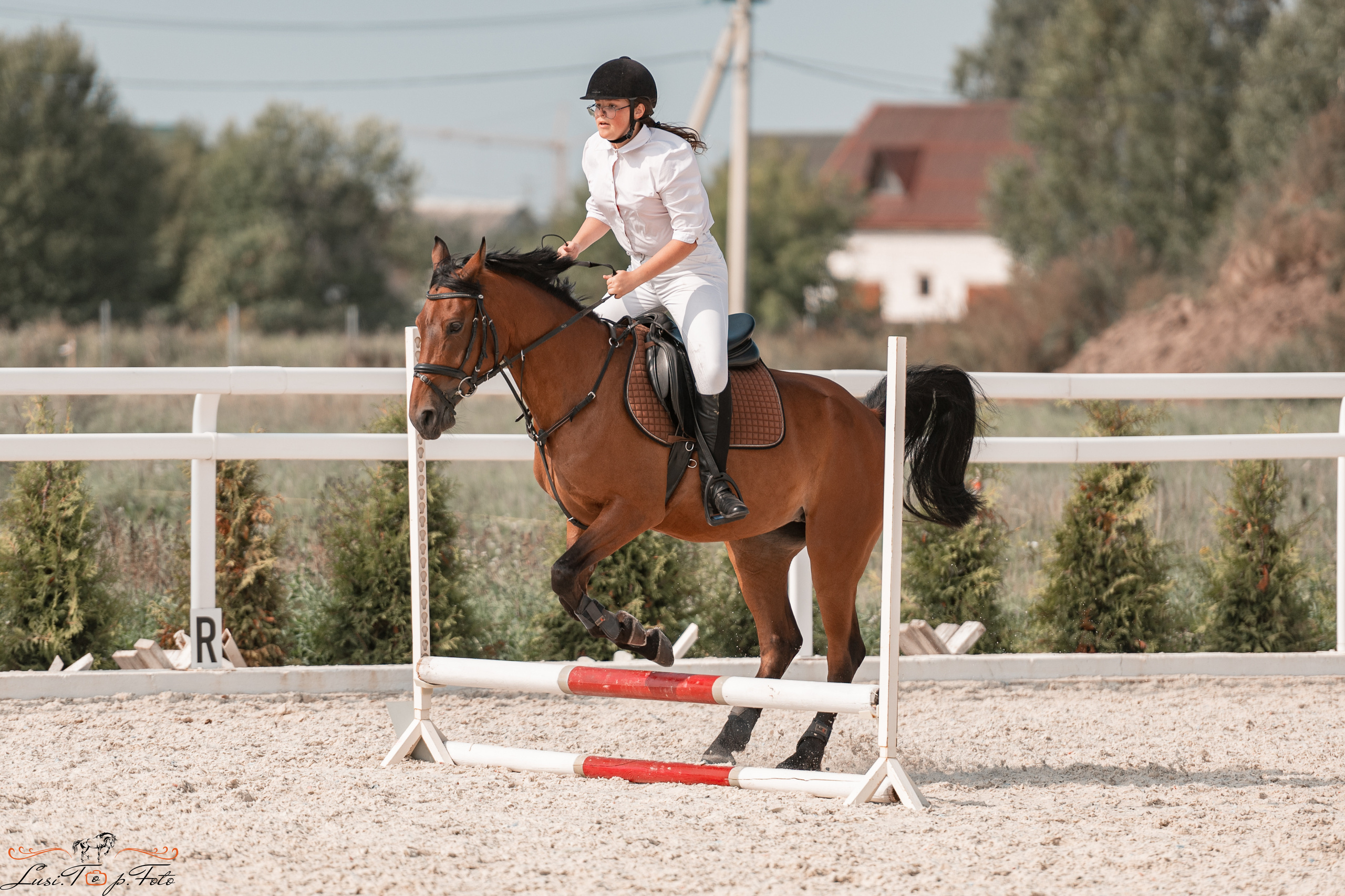 Открытая тренировка по конкуру в КК Equipark. Конный и фотограф с животными в Твери Топталова Люся