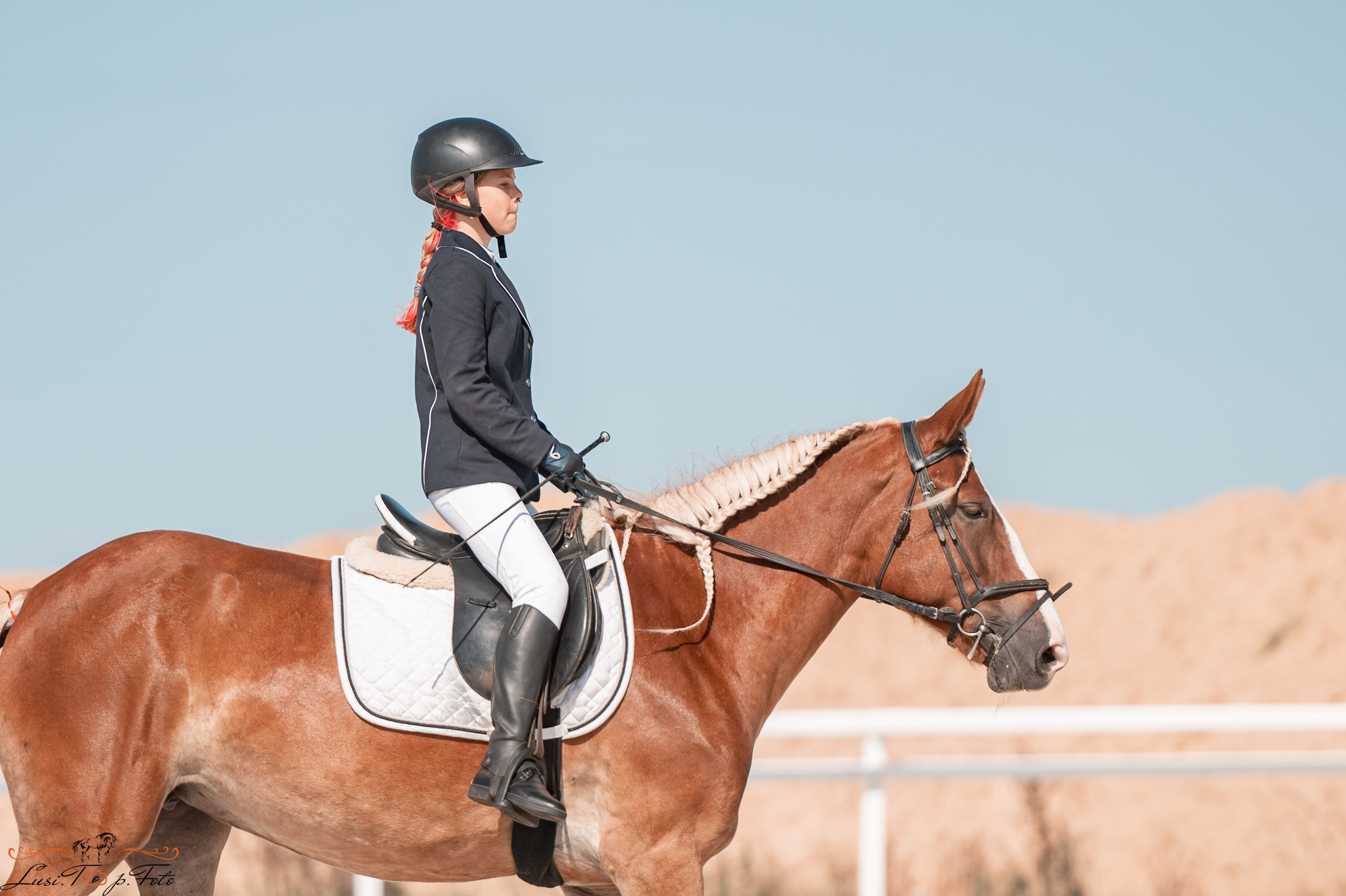 Открытая тренировка по выездке в КК Equipark. Конный и фотограф с животными в Твери Топталова Люся