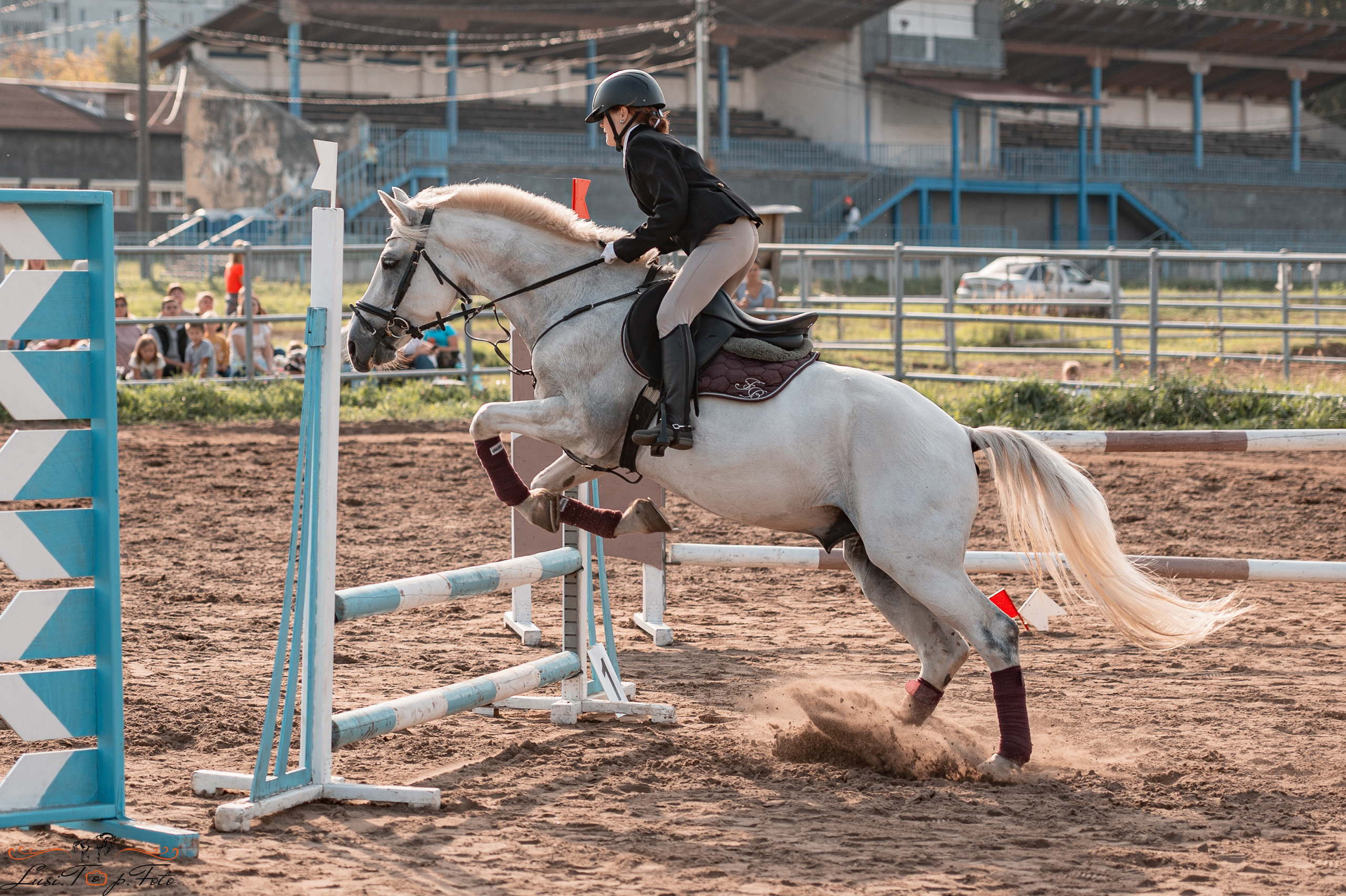 Турнир по выездке и конкуру памяти Н. Ю. Серовой (второй день — конкур). Конный и фотограф с животными в Твери Топталова Люся