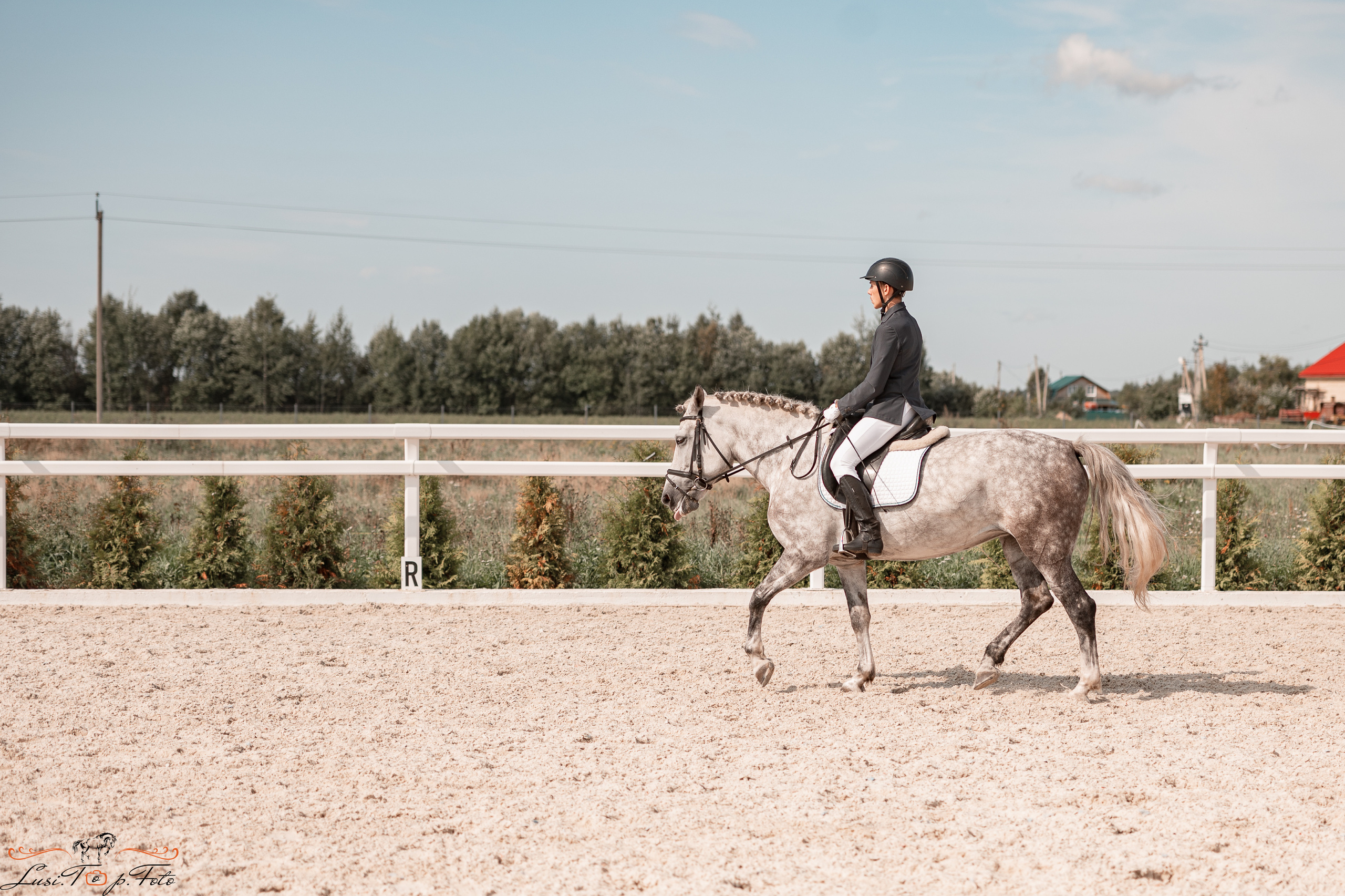 Открытая тренировка по выездке в КК Equipark. Конный и фотограф с животными в Твери Топталова Люся