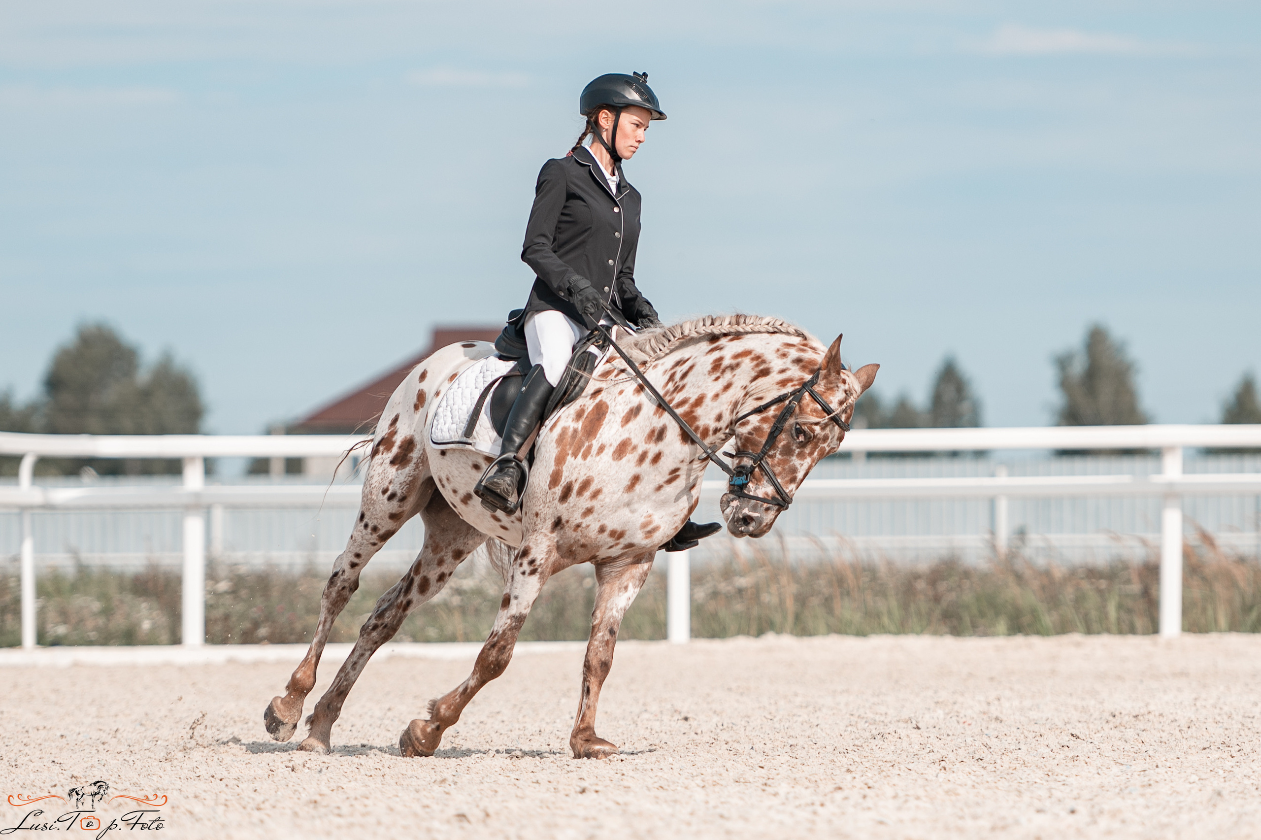 Открытая тренировка по выездке в КК Equipark. Конный и фотограф с животными в Твери Топталова Люся