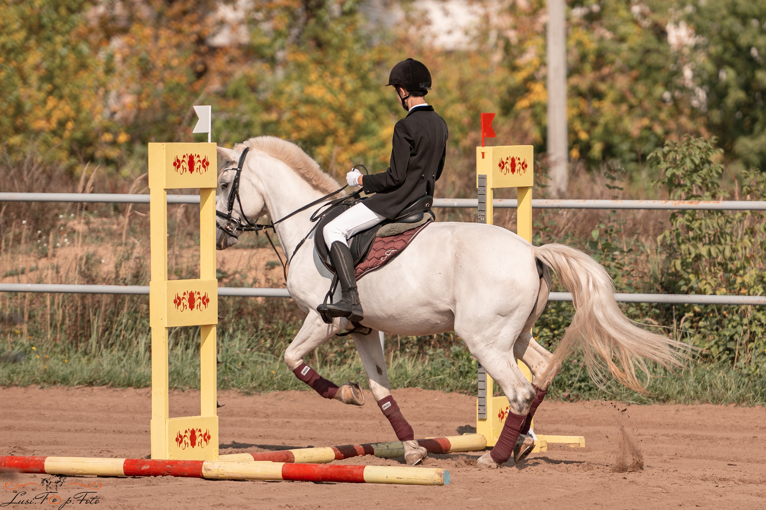 Турнир по выездке и конкуру памяти Н. Ю. Серовой (второй день — конкур). Конный и фотограф с животными в Твери Топталова Люся