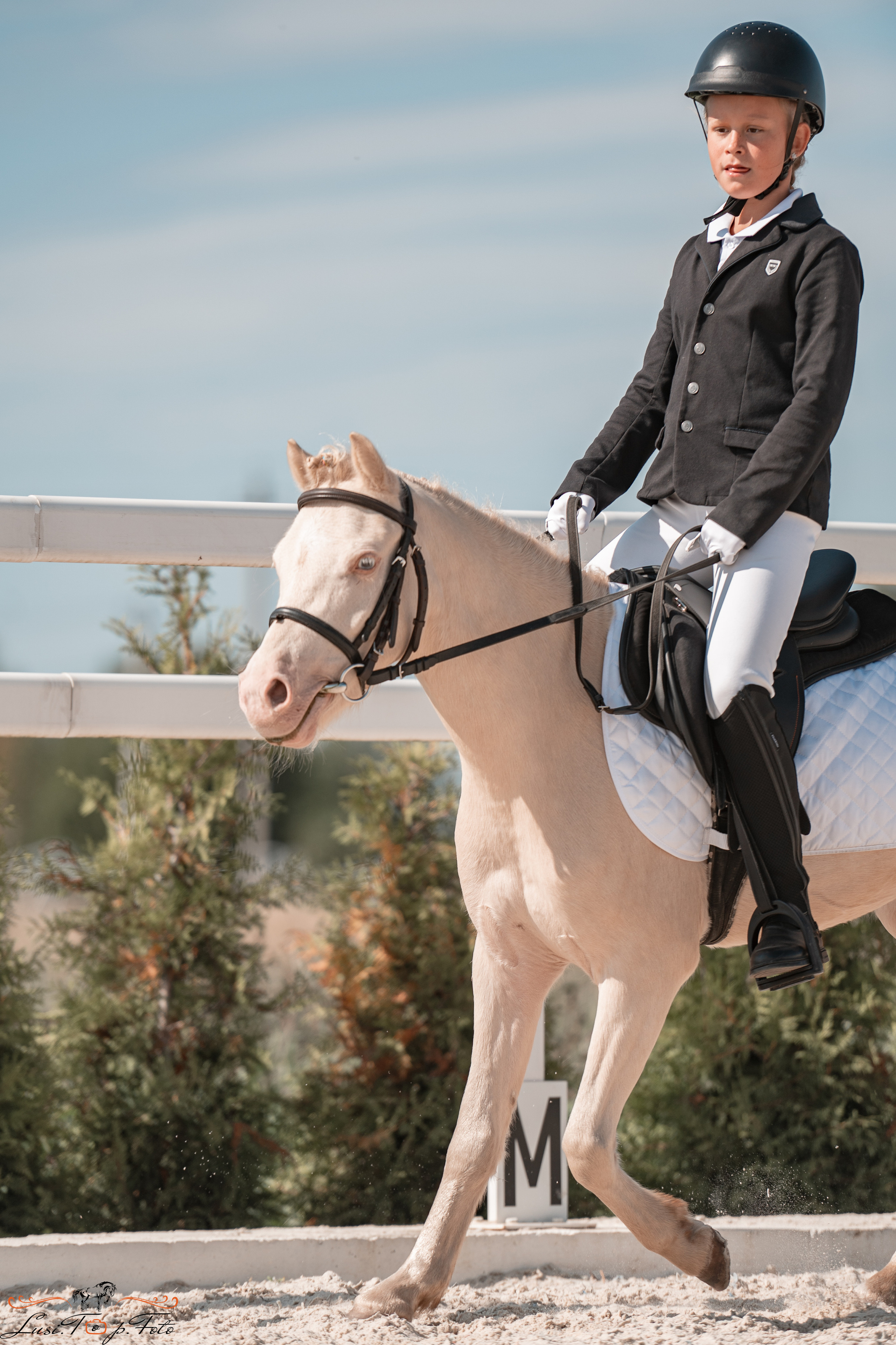 Открытая тренировка по выездке в КК Equipark. Конный и фотограф с животными в Твери Топталова Люся