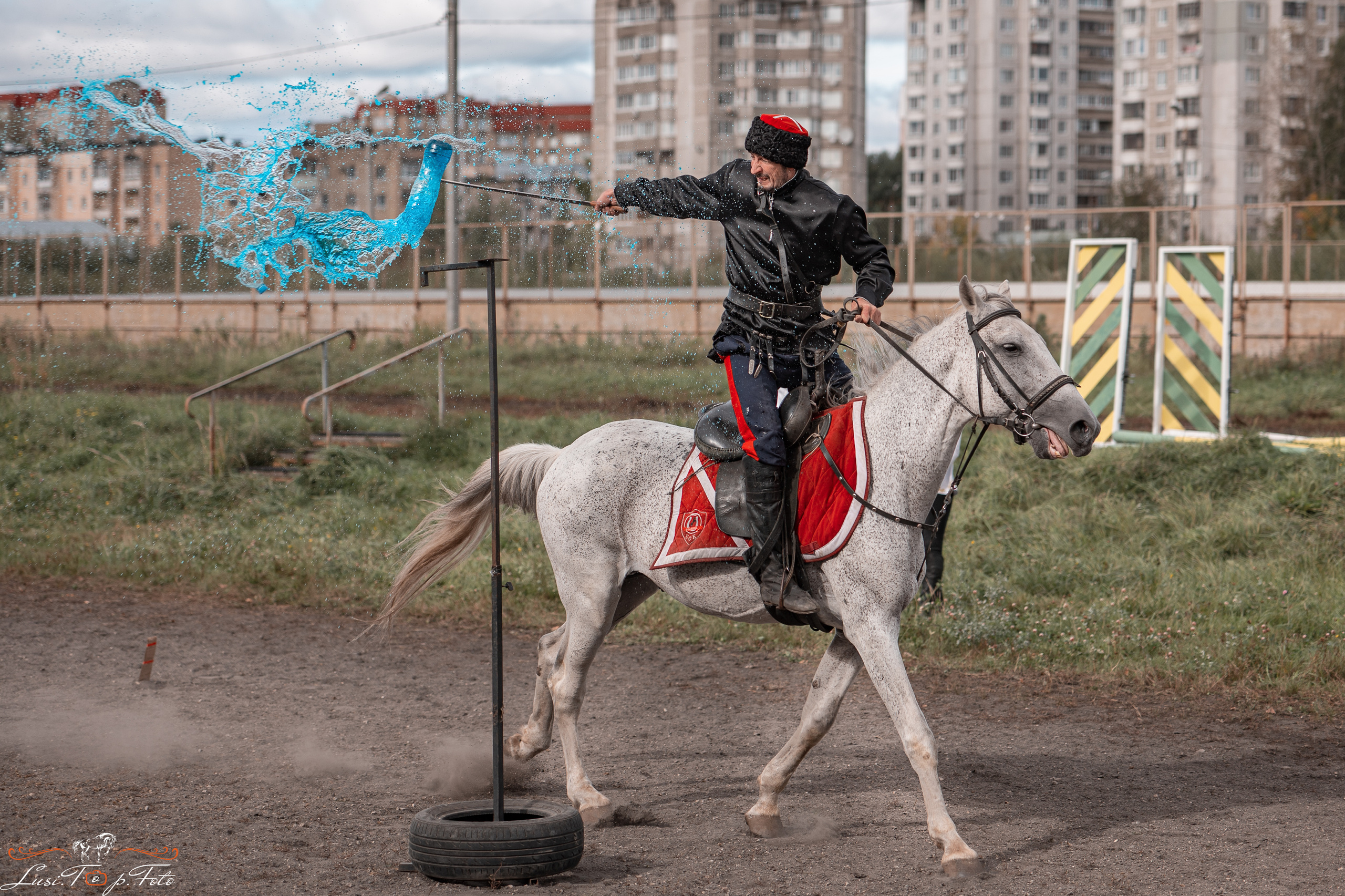 День лошади 2021. Конный и фотограф с животными в Твери Топталова Люся