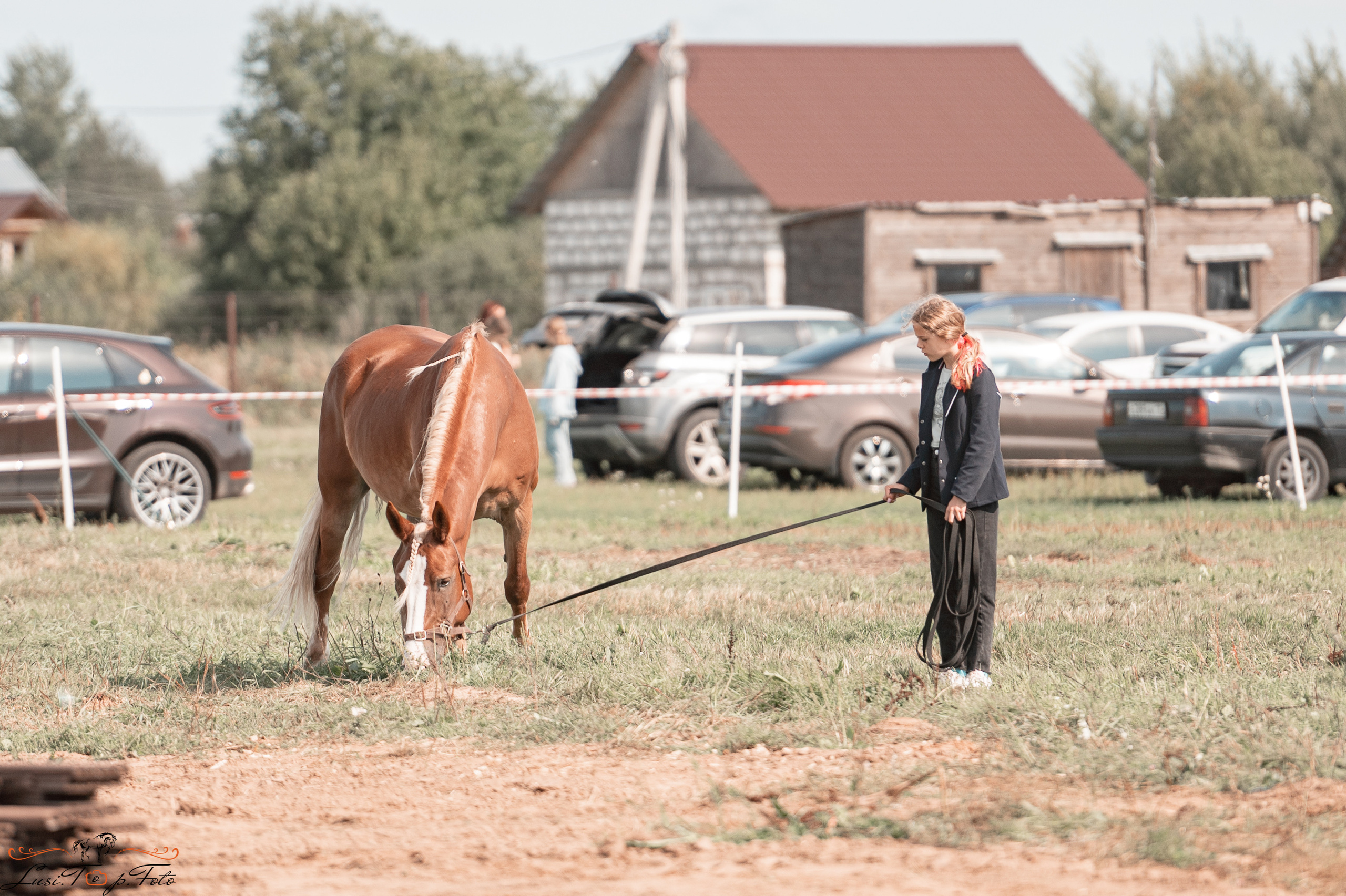 Открытая тренировка по выездке в КК Equipark. Конный и фотограф с животными в Твери Топталова Люся