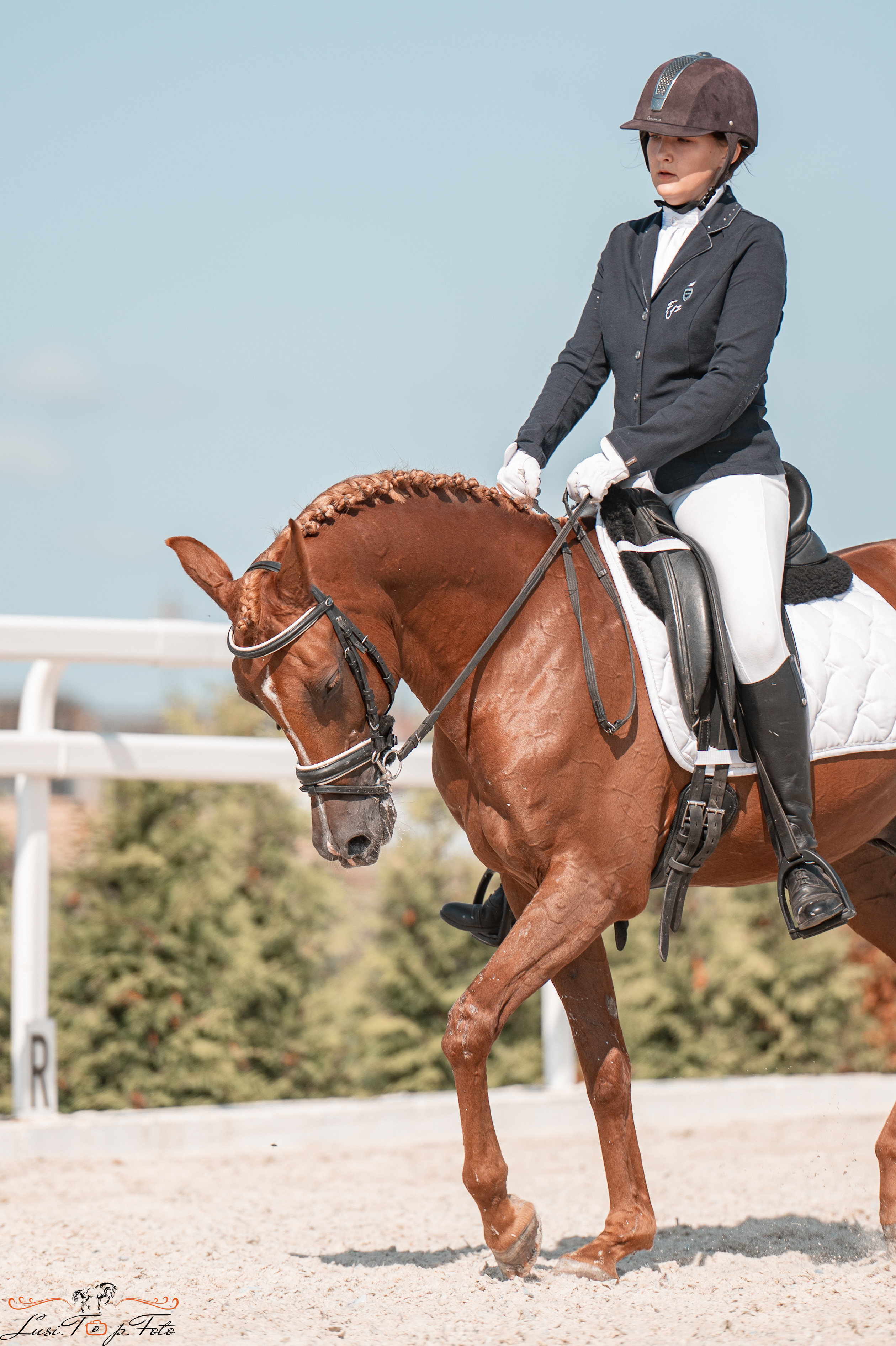 Открытая тренировка по выездке в КК Equipark. Конный и фотограф с животными в Твери Топталова Люся