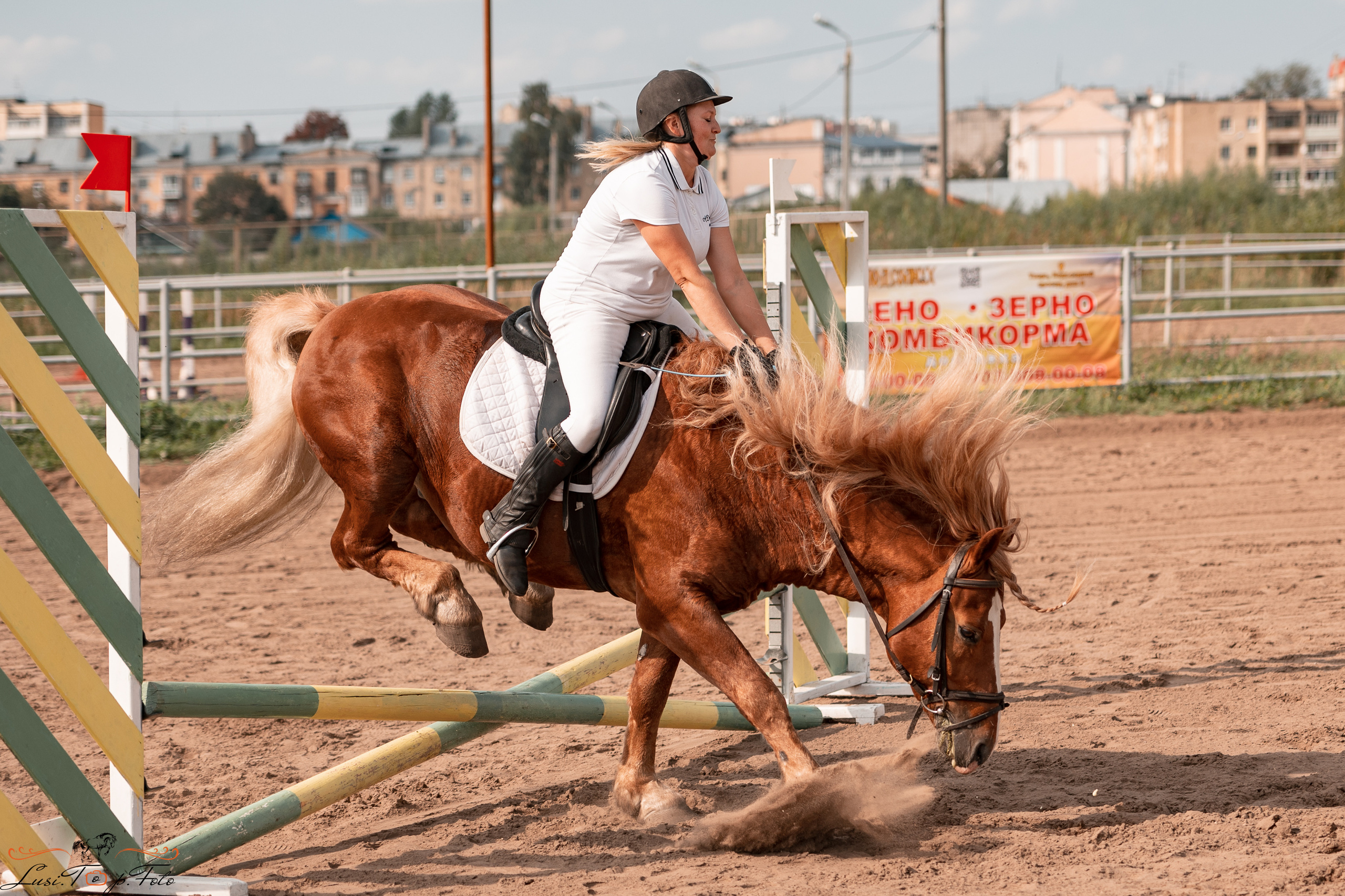 Турнир по выездке и конкуру памяти Н. Ю. Серовой (второй день — конкур). Конный и фотограф с животными в Твери Топталова Люся