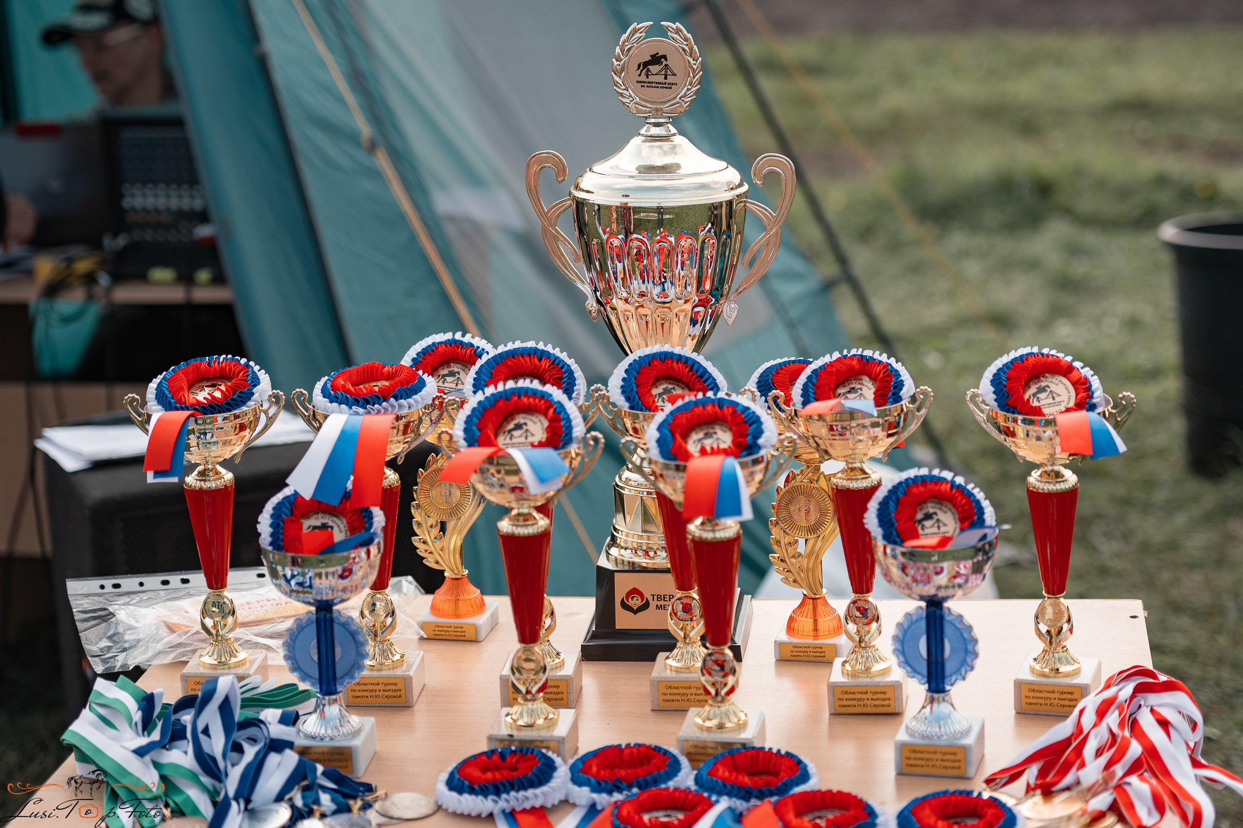 Турнир по выездке и конкуру памяти Н. Ю. Серовой (второй день — конкур). Конный и фотограф с животными в Твери Топталова Люся