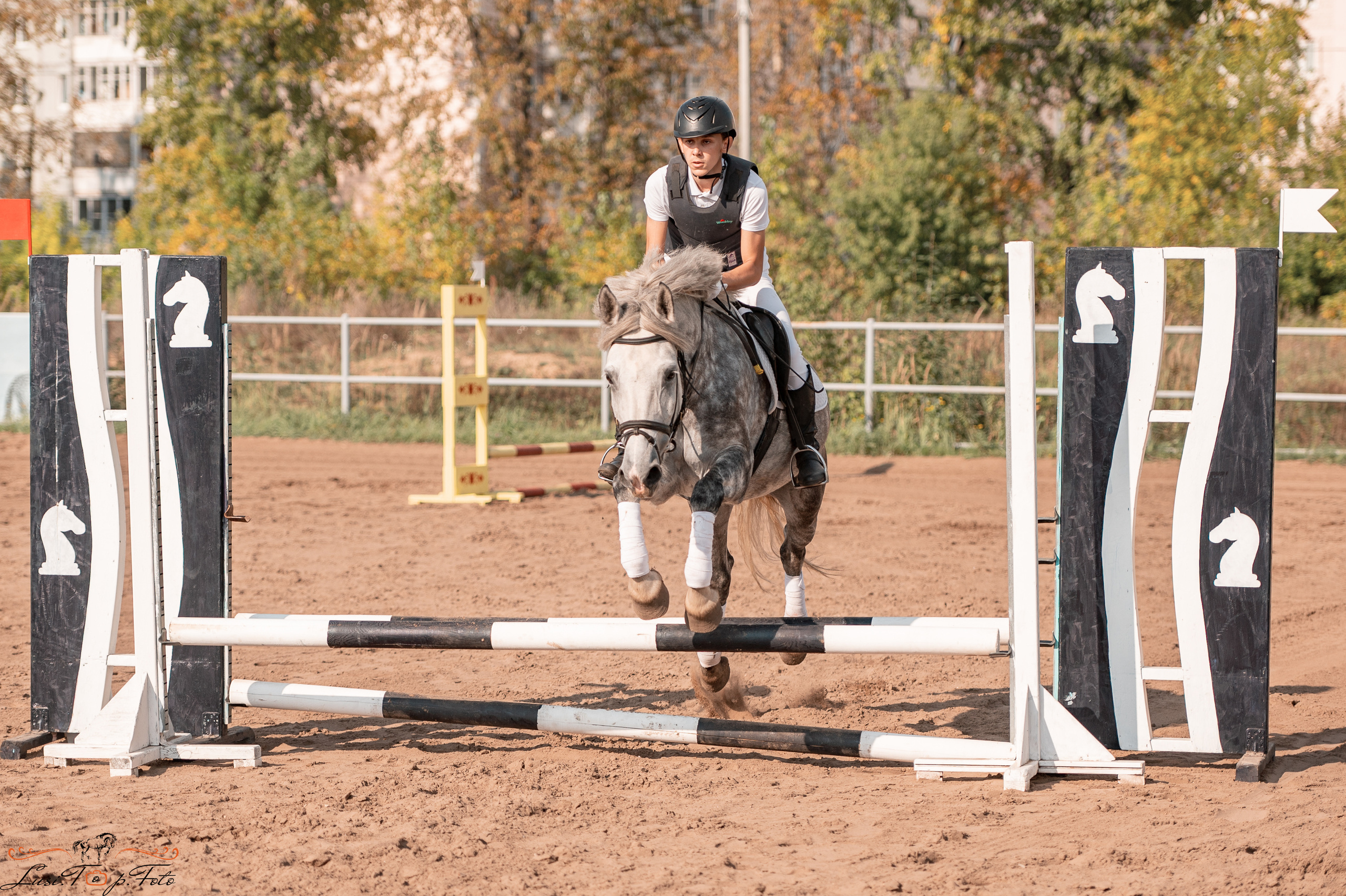 Турнир по выездке и конкуру памяти Н. Ю. Серовой (второй день — конкур). Конный и фотограф с животными в Твери Топталова Люся