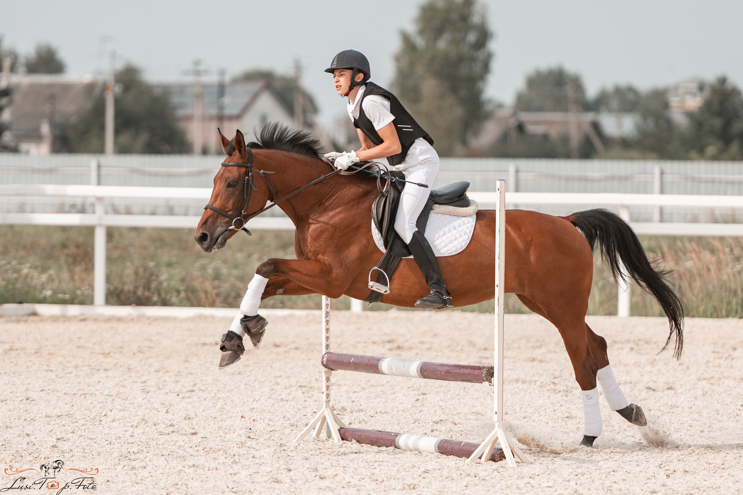 Открытая тренировка по конкуру в КК Equipark. Конный и фотограф с животными в Твери Топталова Люся