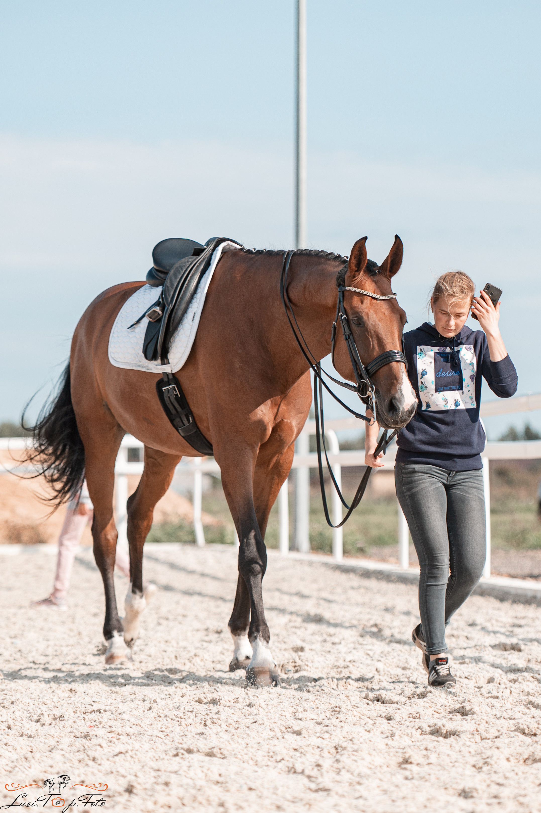 Открытая тренировка по выездке в КК Equipark. Конный и фотограф с животными в Твери Топталова Люся