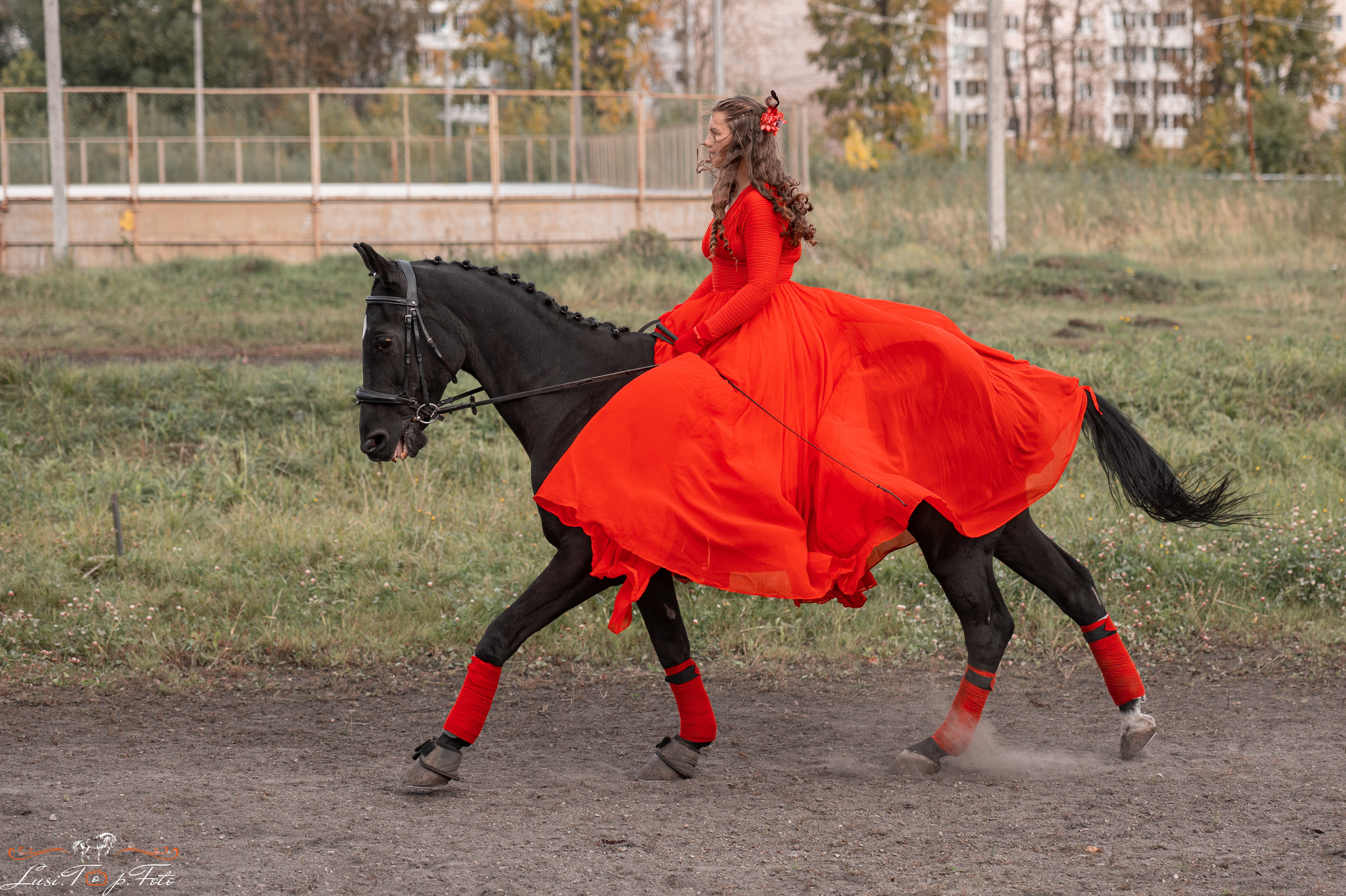 День лошади 2021. Конный и фотограф с животными в Твери Топталова Люся