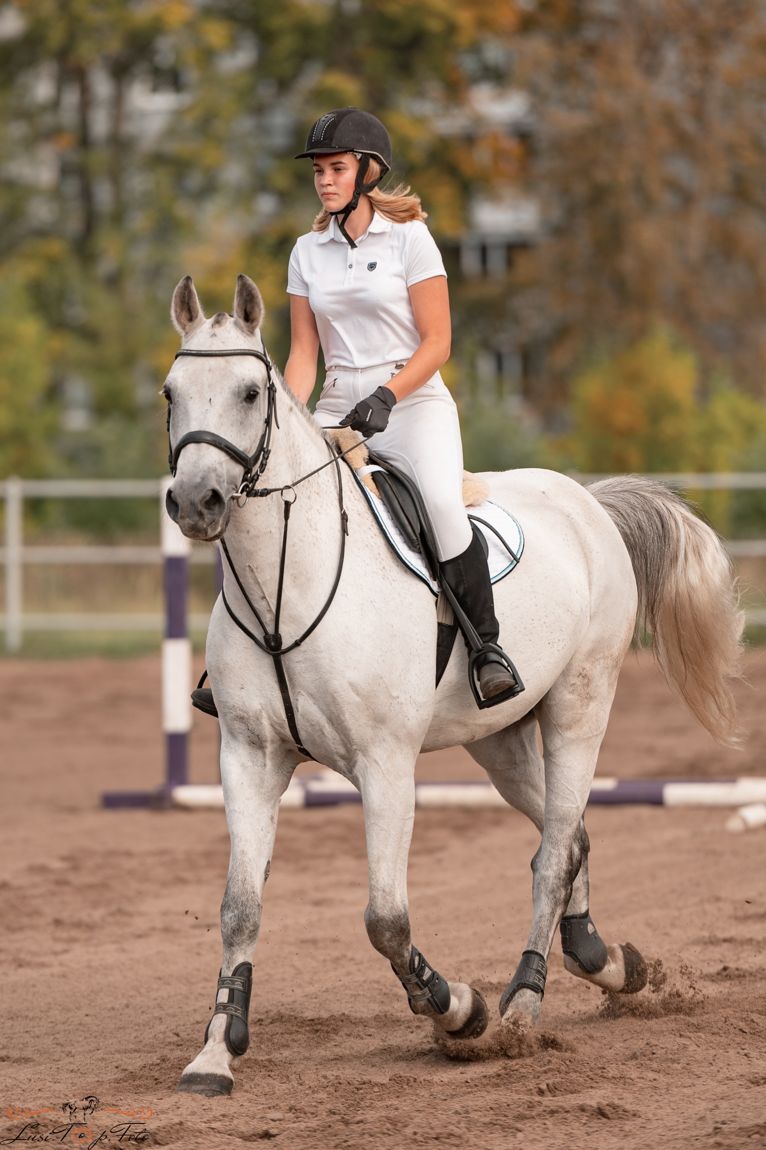 Турнир по выездке и конкуру памяти Н. Ю. Серовой (второй день — конкур). Конный и фотограф с животными в Твери Топталова Люся