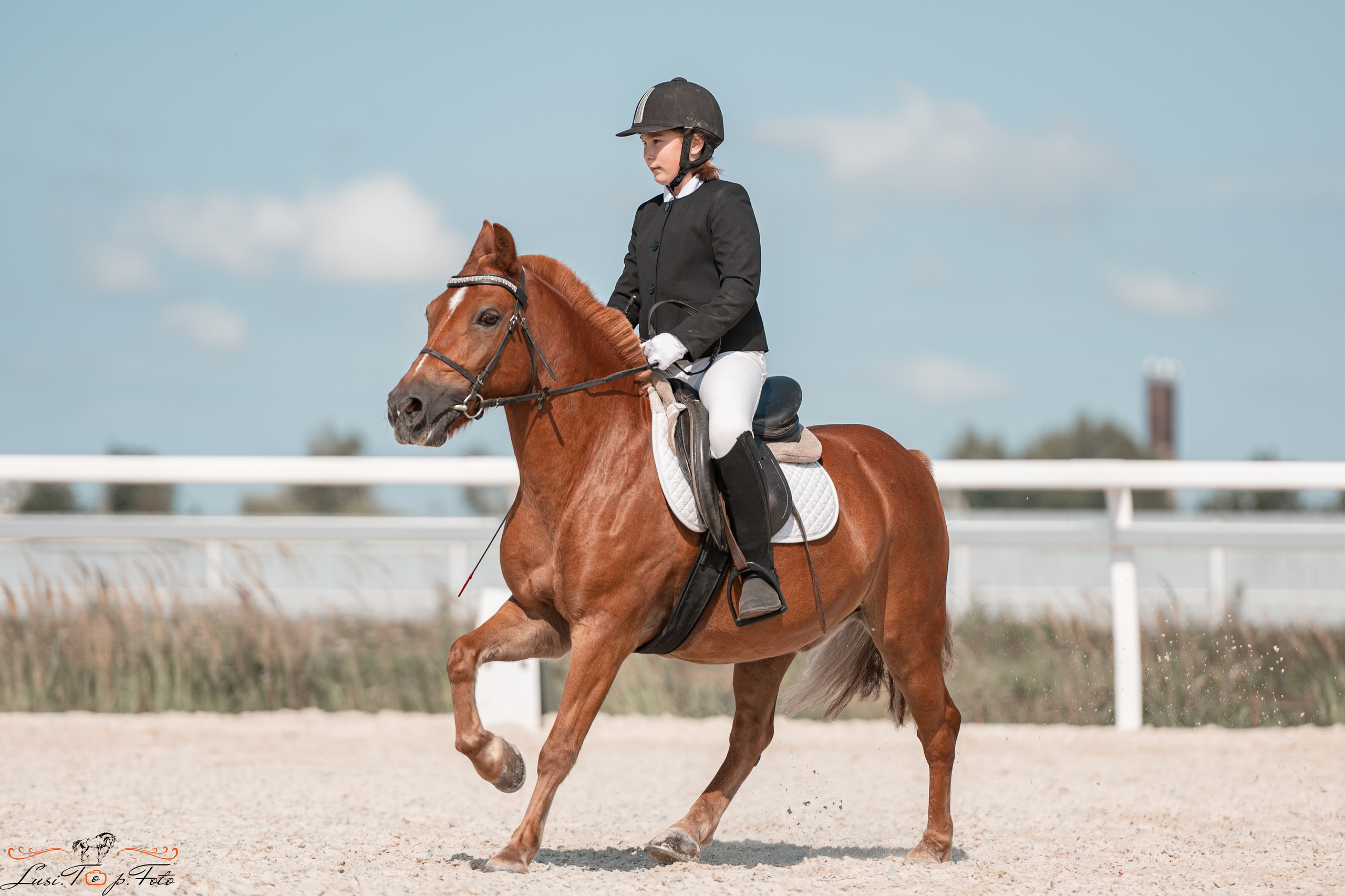 Открытая тренировка по выездке в КК Equipark. Конный и фотограф с животными в Твери Топталова Люся