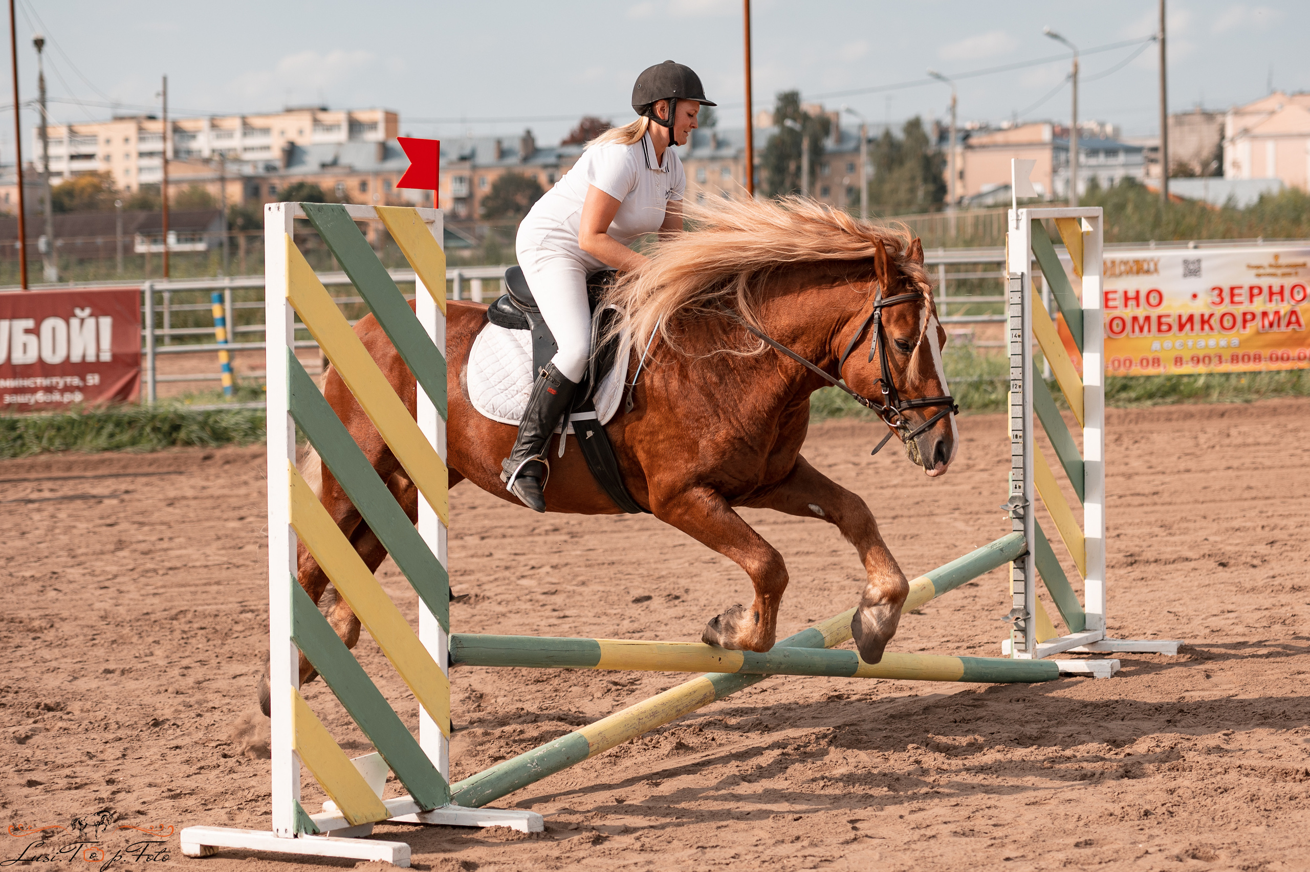 Турнир по выездке и конкуру памяти Н. Ю. Серовой (второй день — конкур). Конный и фотограф с животными в Твери Топталова Люся