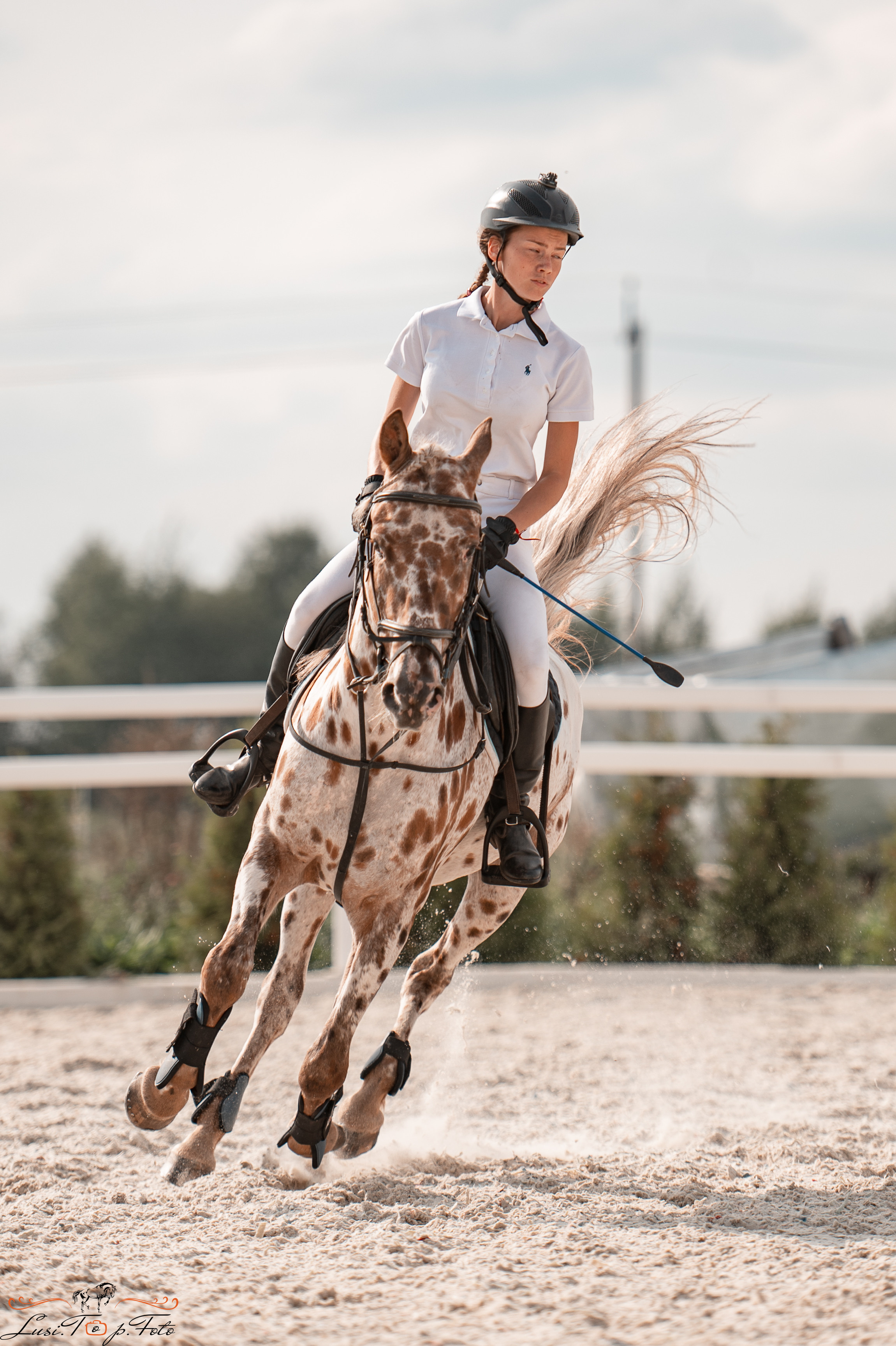 Открытая тренировка по конкуру в КК Equipark. Конный и фотограф с животными в Твери Топталова Люся